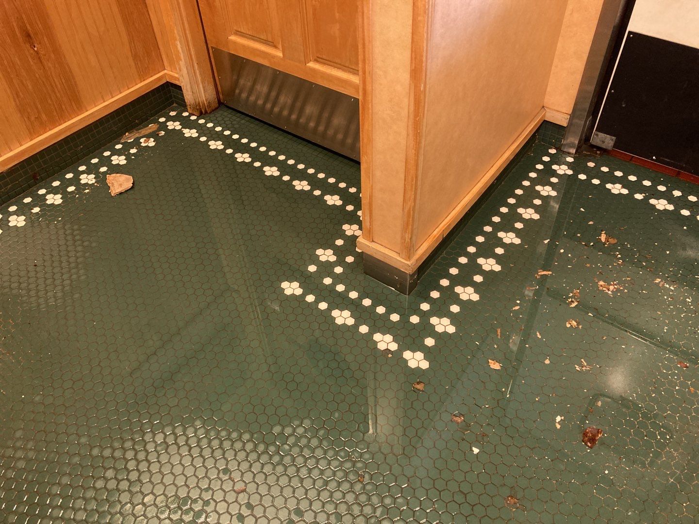 Water Damage  by Accountable Home Services