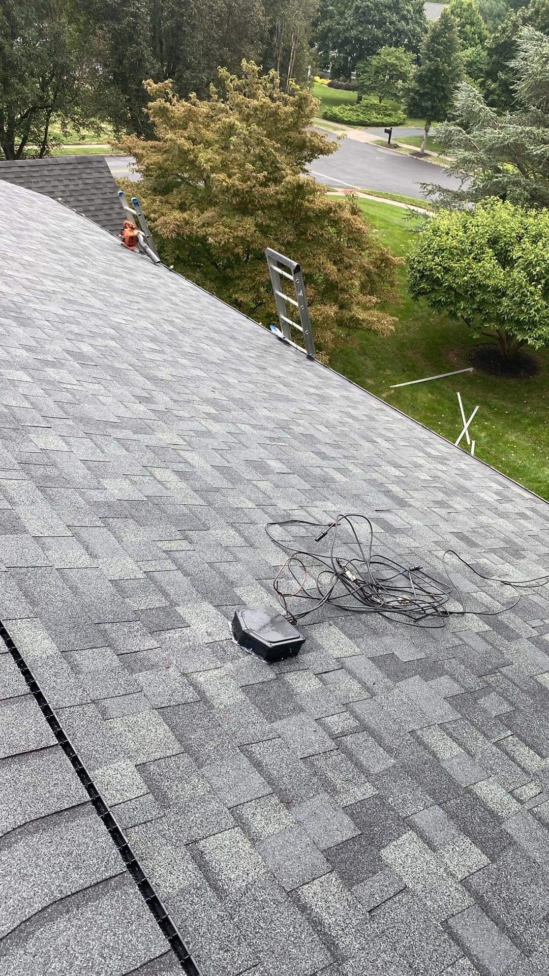 Silver Birch Shingles by Reimagine Roofing