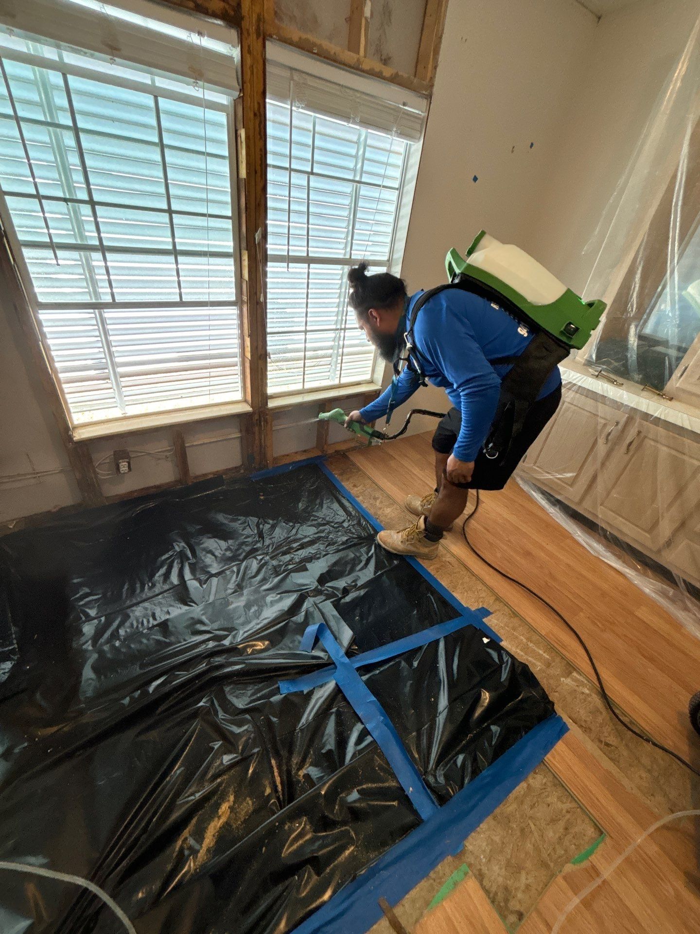 Mold Remediation Palmetto by Ampm Restoration Services 