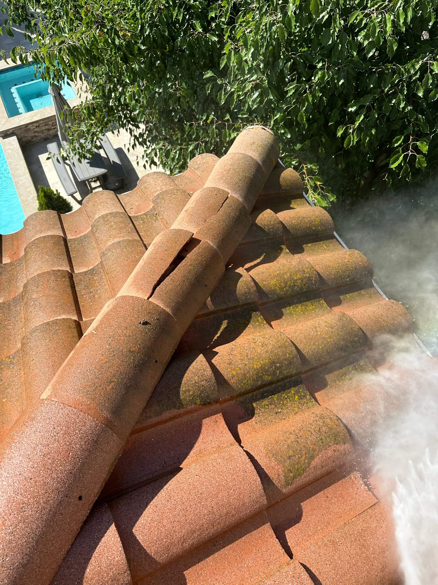 Roof wash on this dirty roof covered in algae by Property Cleaning Experts, LLC