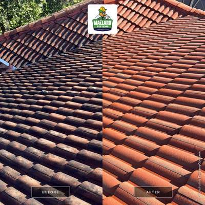 Residential Roof Cleaning in Dr. Phillips