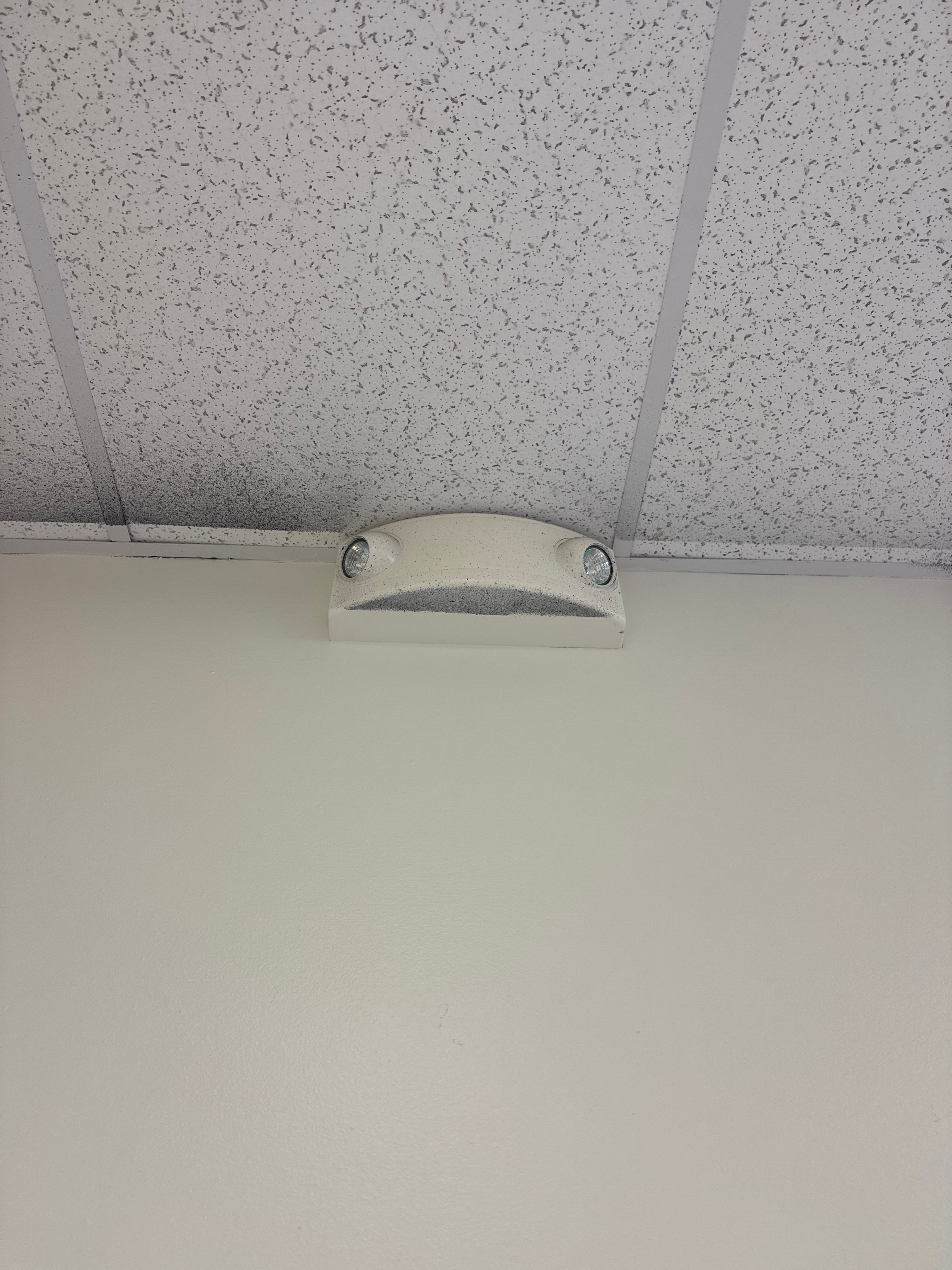 Repaint Walls in Commercial Unit by Midwest Paint LLC