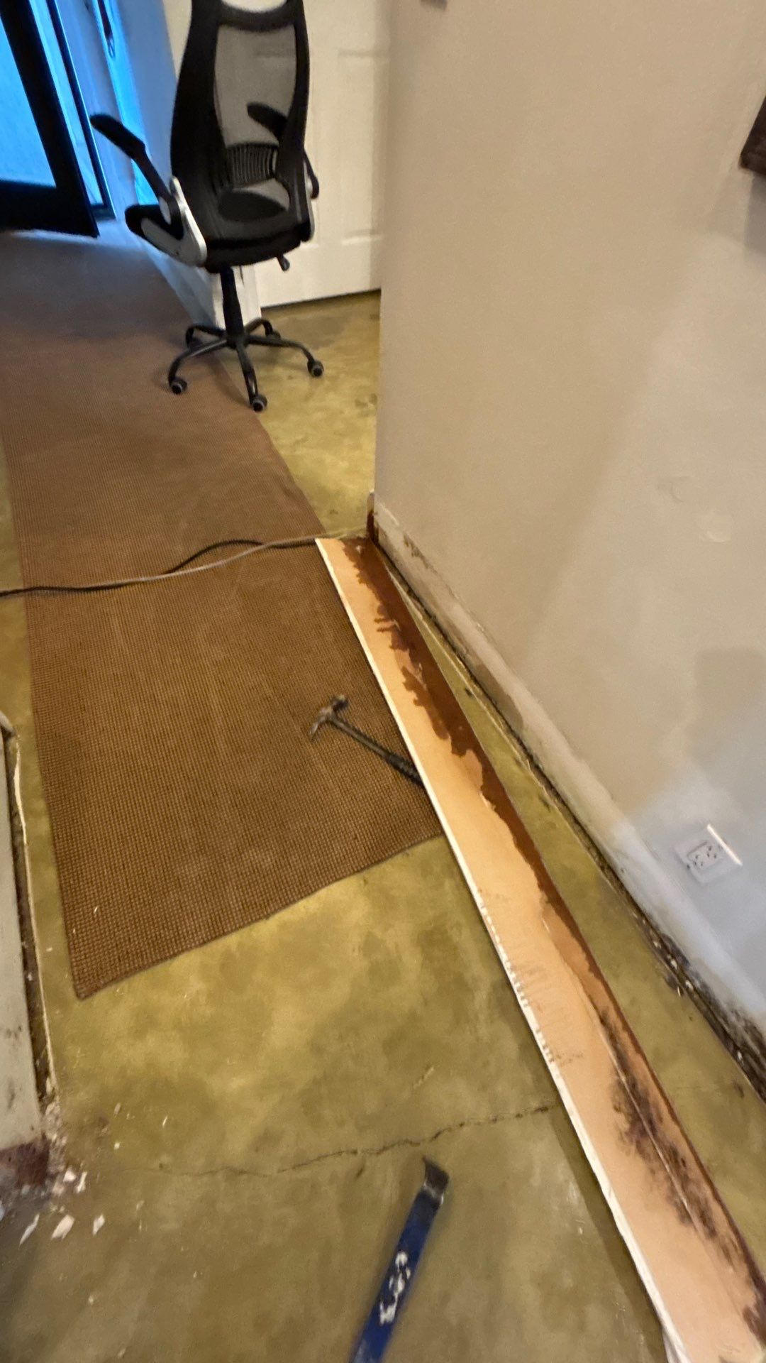 Wellington Water Damage Restoration with Thermal Imaging and Extraction by SuperClean 