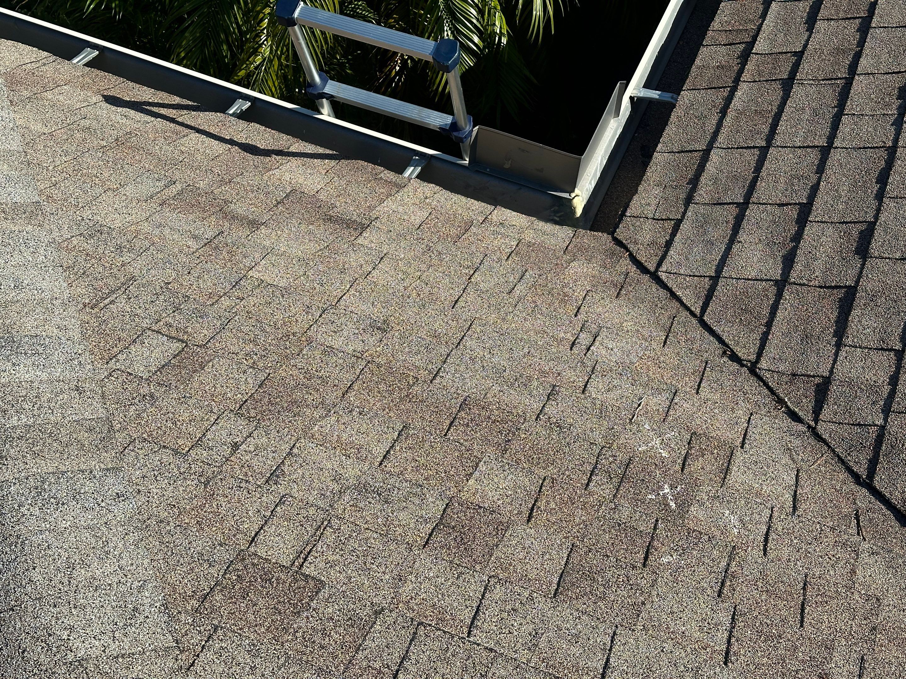 Roof Damage Claim in Palm Harbor by FLAPA & KeyStone