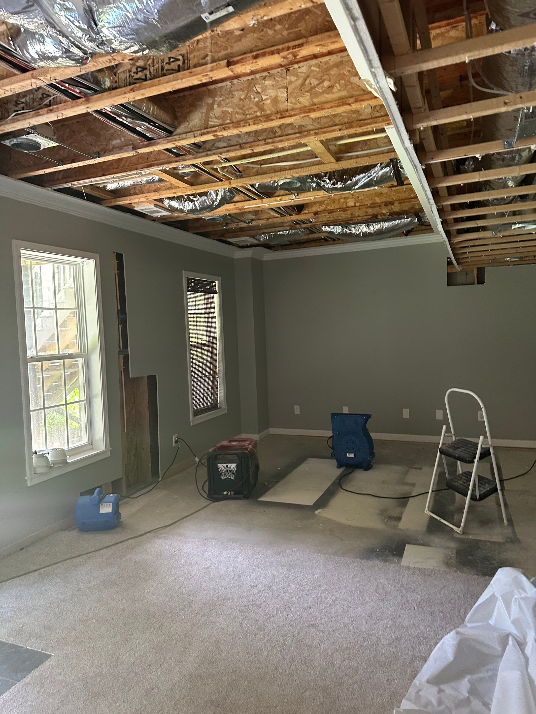 Project in Cumming by MoldTrust, Inc.