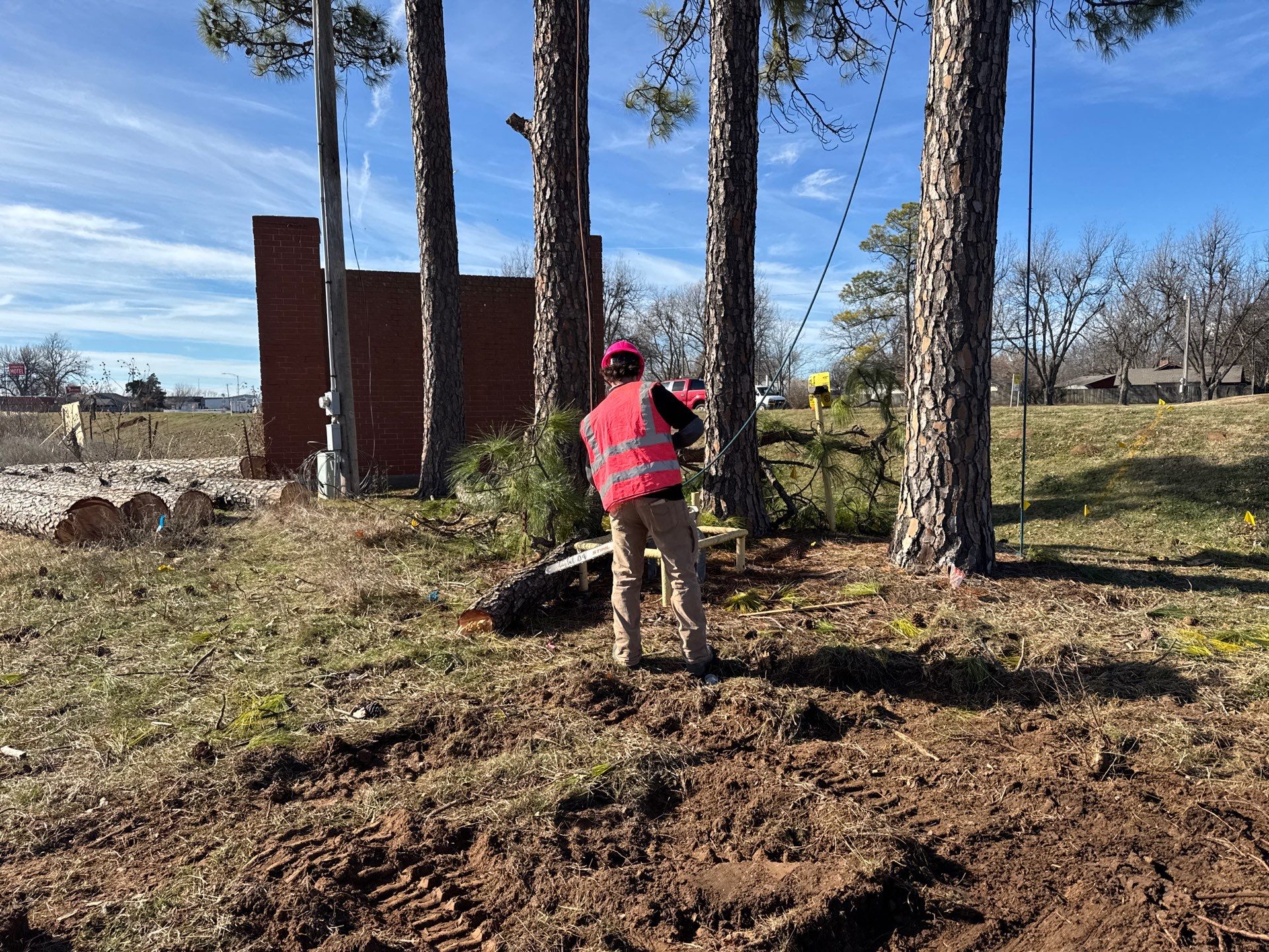 Pine Removals by Clays Services Inc