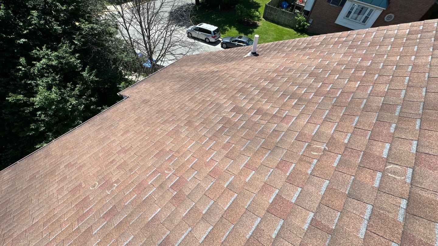 Alexandria: Roof Replacement with CertainTeed Landmark Pro in Max Def Burnt Sienna by RM Banning, Inc.