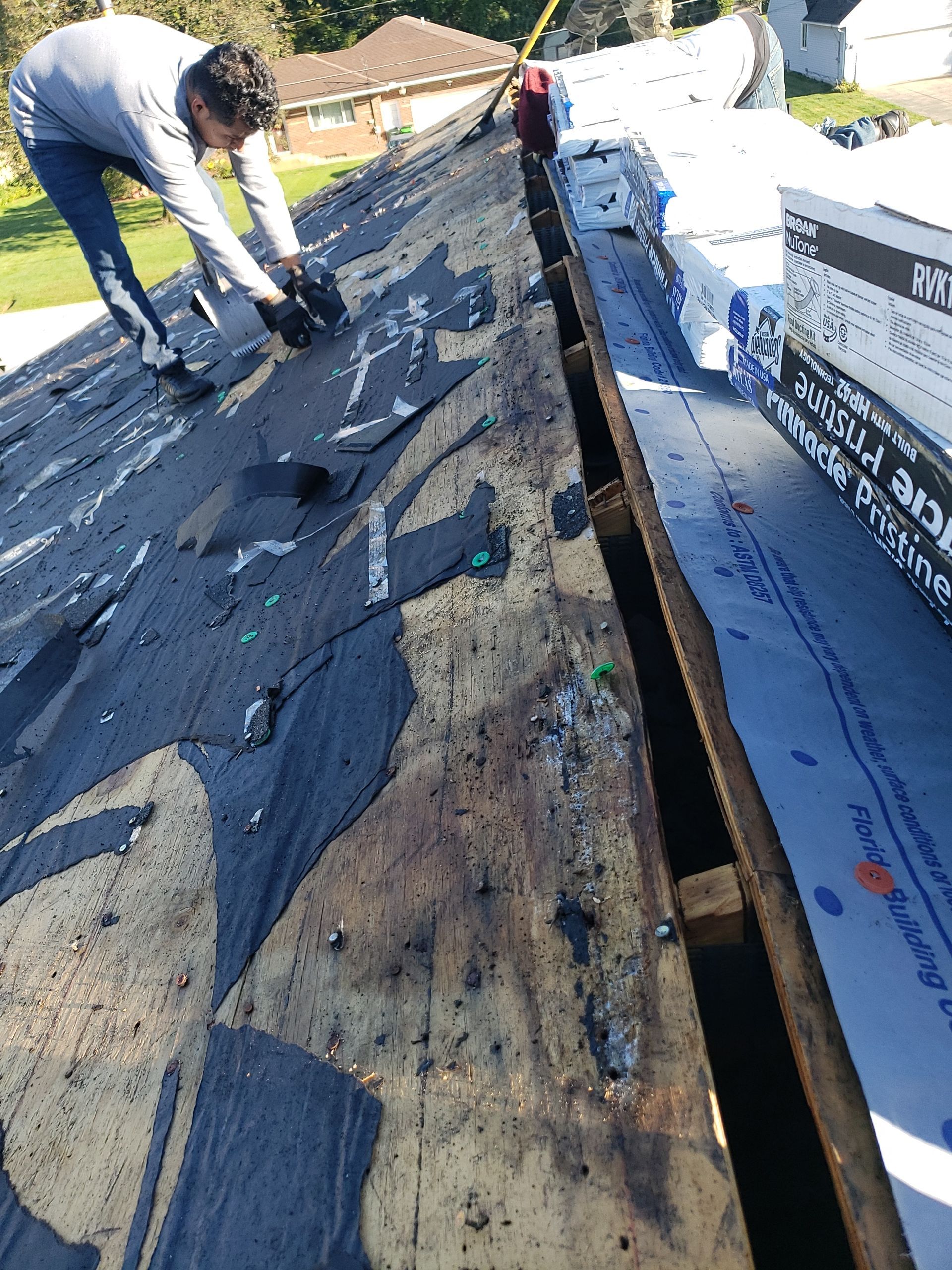 ATLAS PINNACLE COLOR: PRISTINE HEATHER DRIP EDGE: MUSKET BROWN by Eagle Eye Roofing