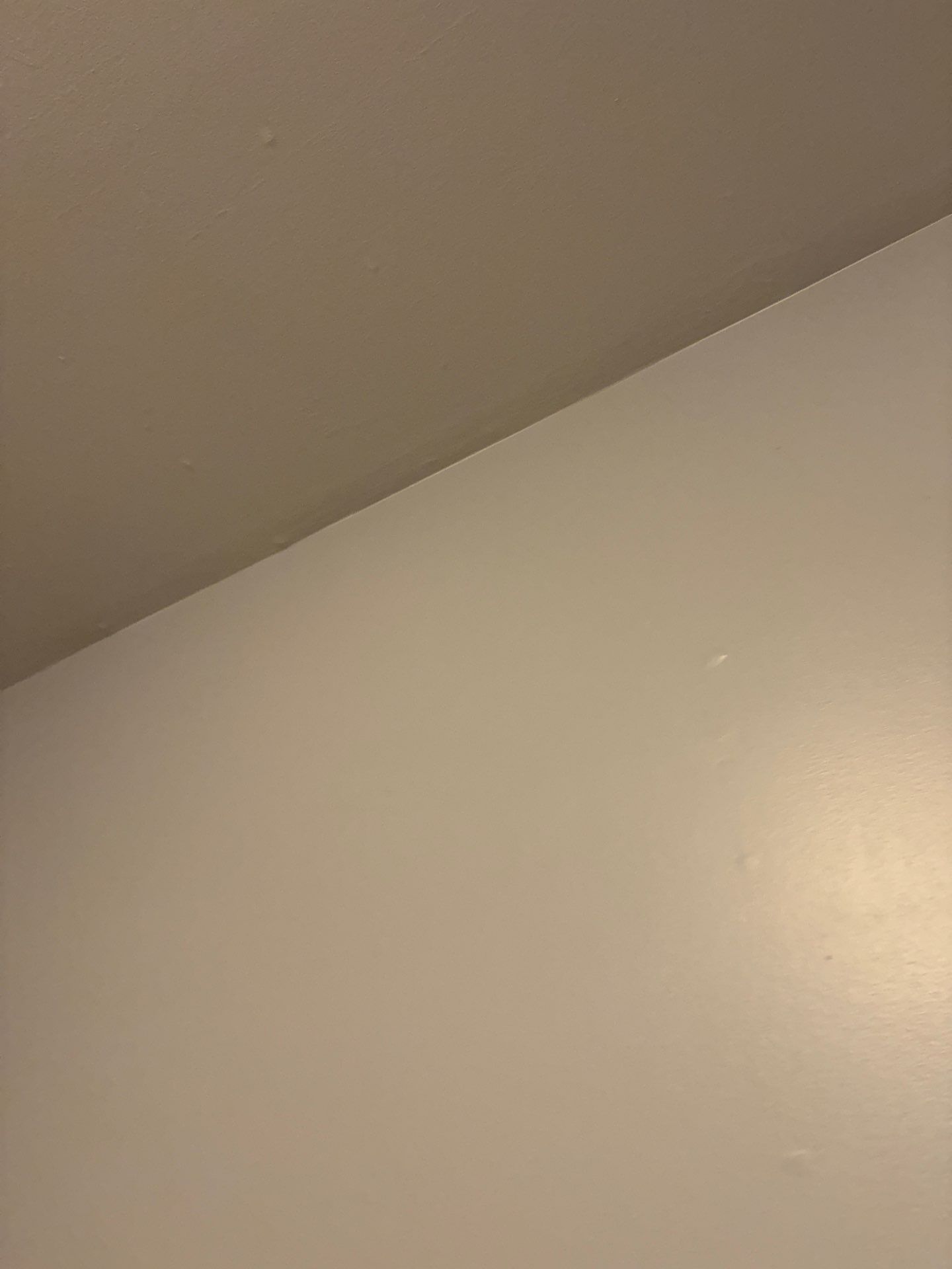 Interior Wall Repair and Surface Refresh in Denver by CompanyCam Sales Demo