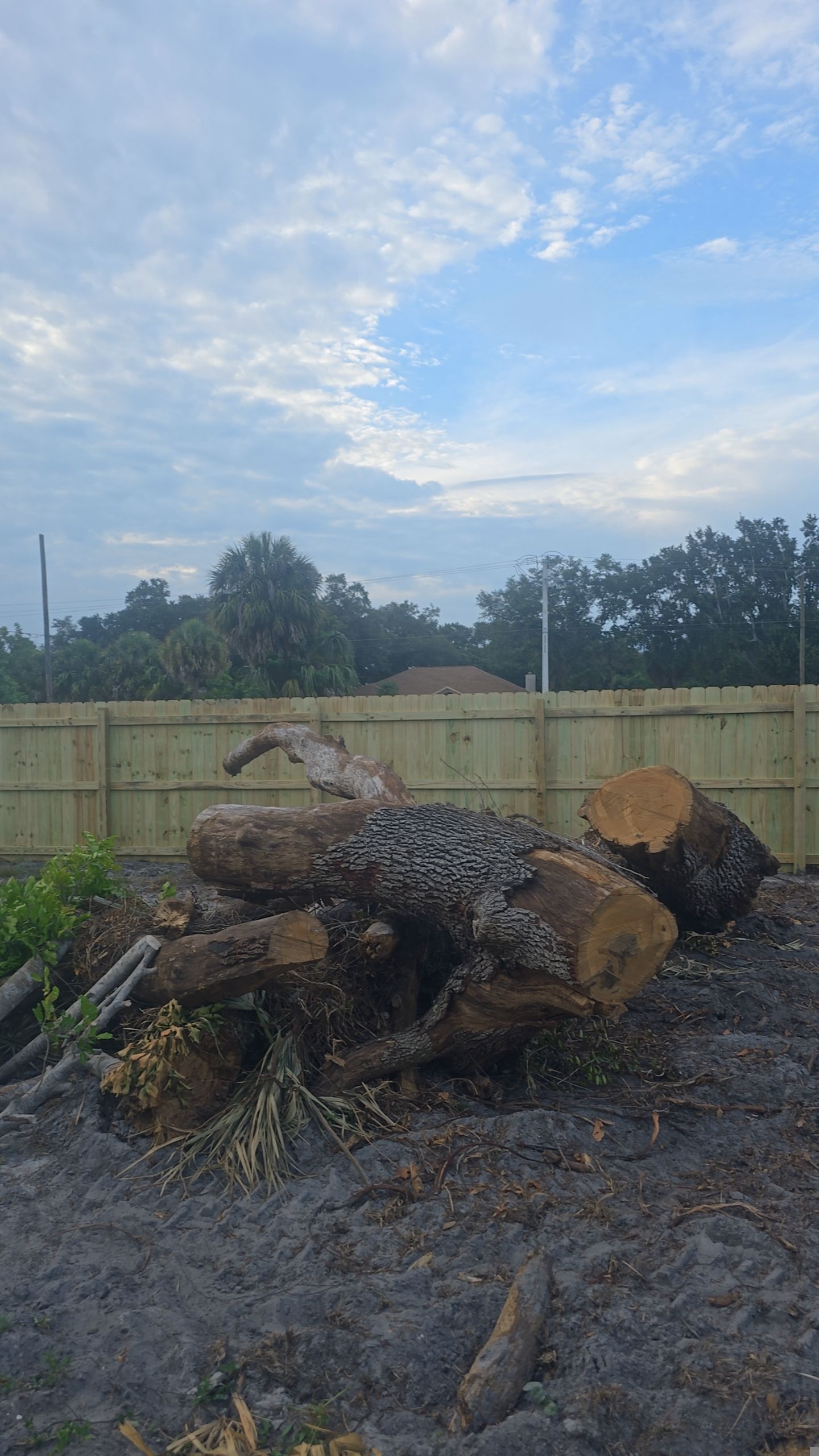 Pressure-Treated Wood Privacy Fence Installation in Port Charlotte by True Fence LLC