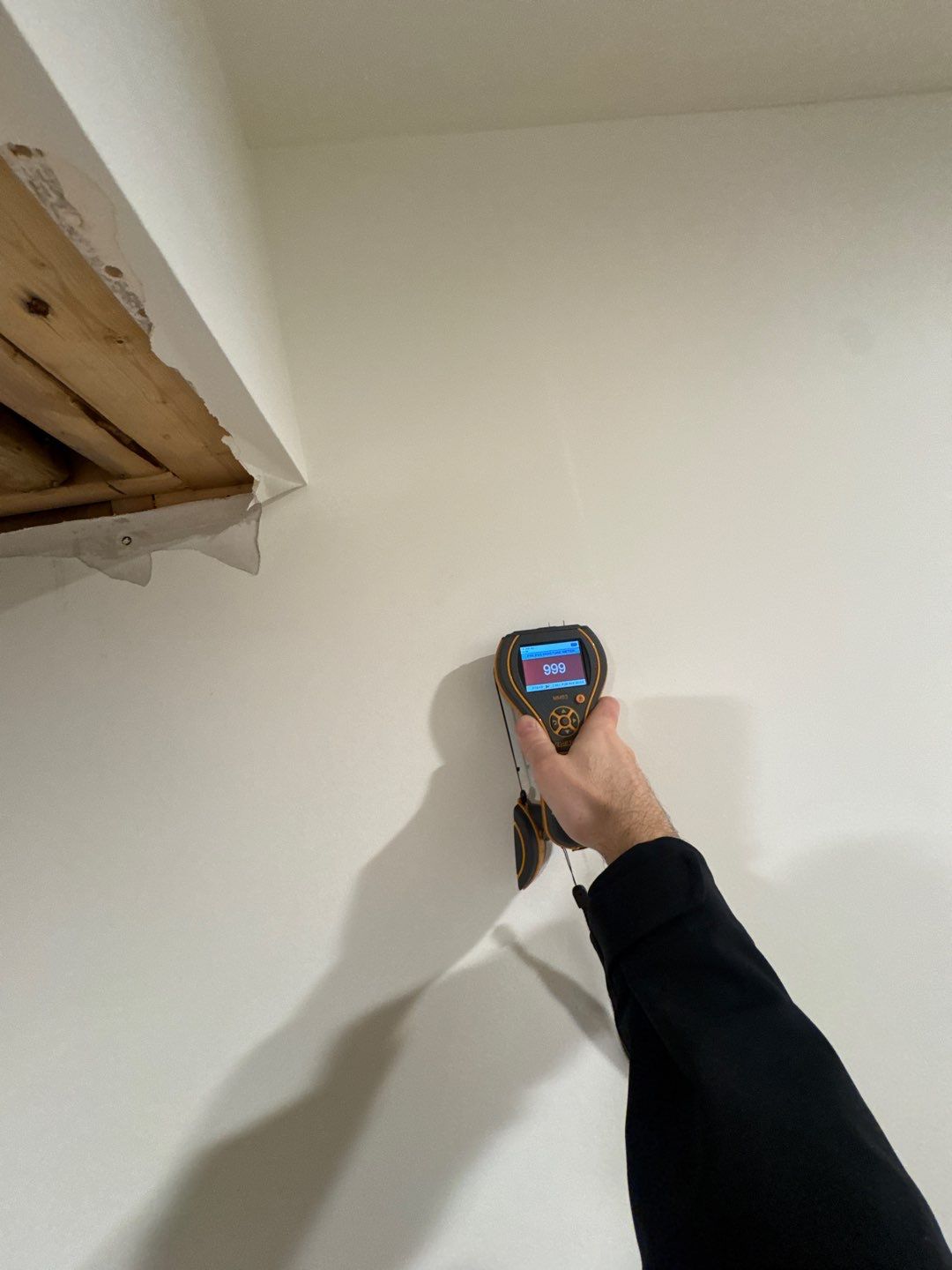 Project in Commerce Twp by EzDry Water Mitigation & Property Restoration