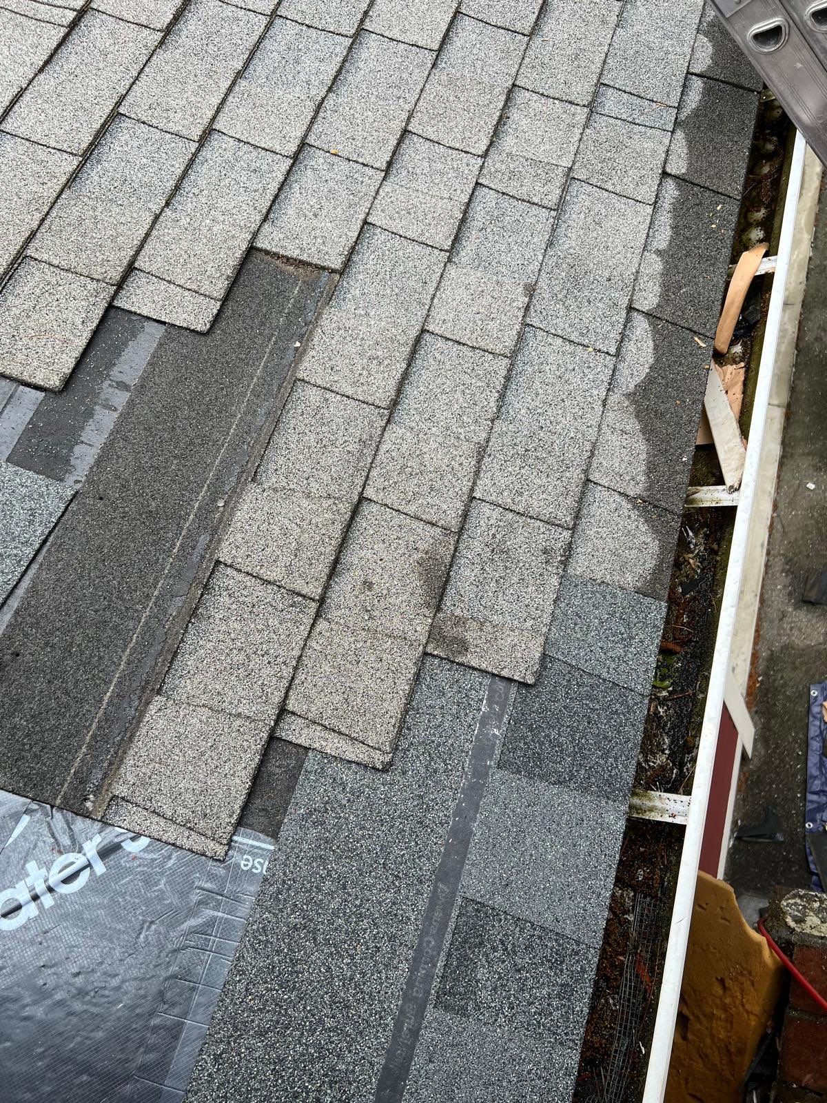 Roofing & Siding | Acton by Mighty Dog Roofing of Greater Middlesex County