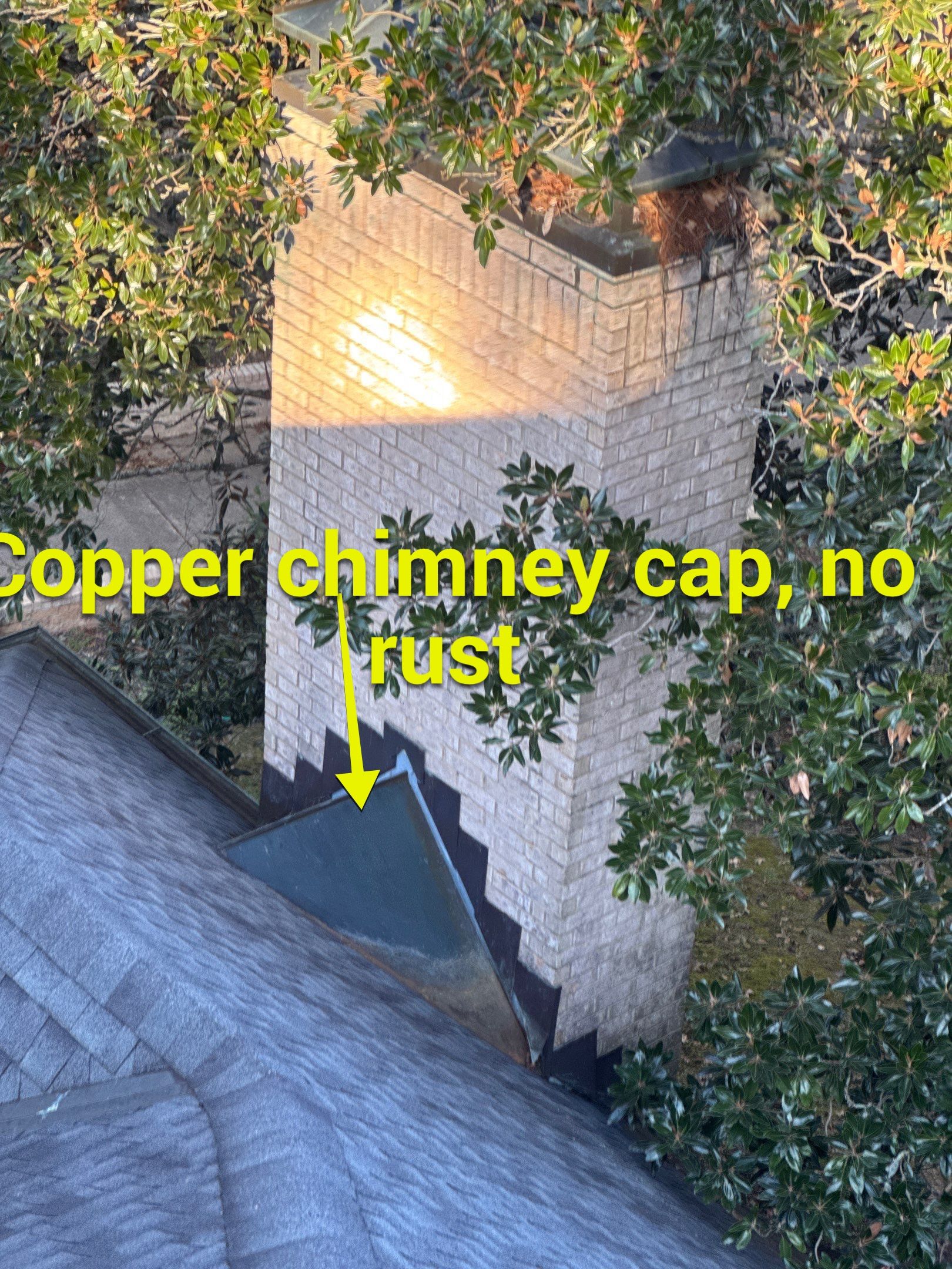 Chyleen Feagin by Tru-Built Roofing