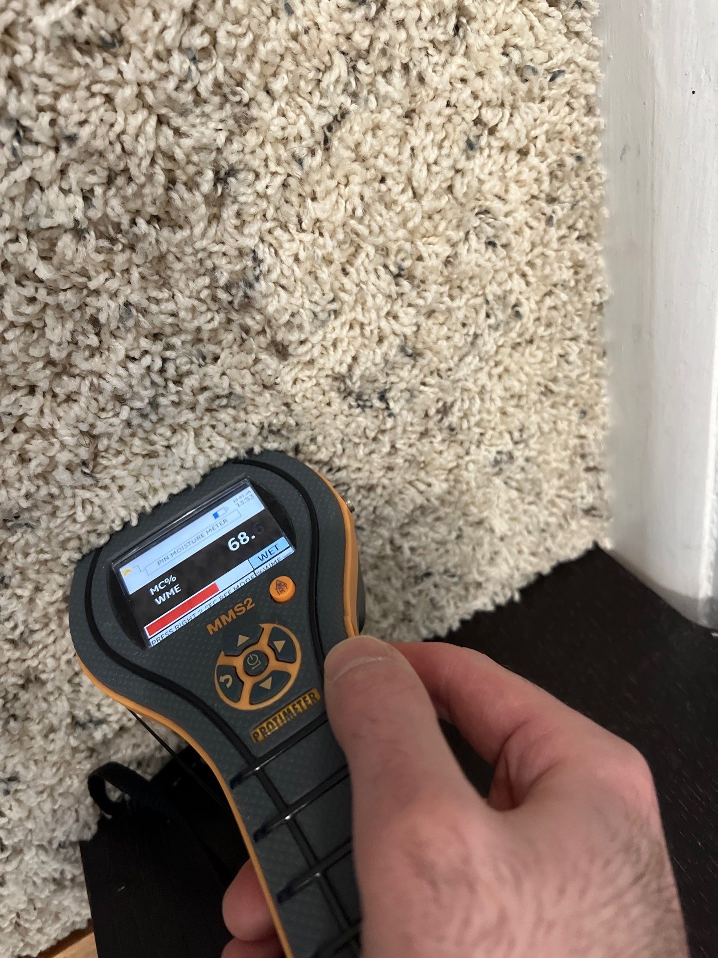 Project in Royal Oak by EzDry Water Mitigation & Property Restoration