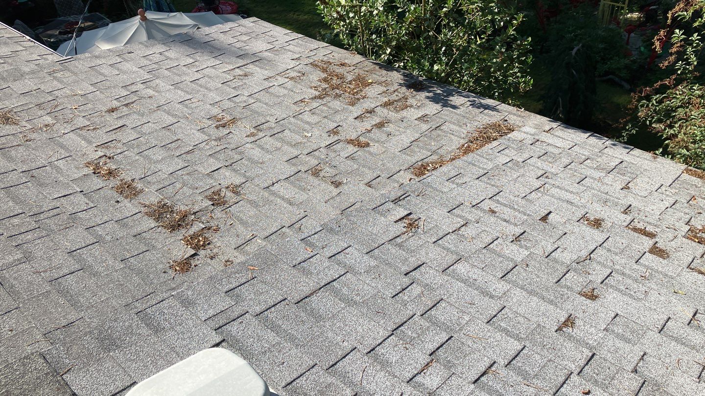 Creative Blend of 2 different Owens Corning Duration Designer Collection by ID Roofing LLC