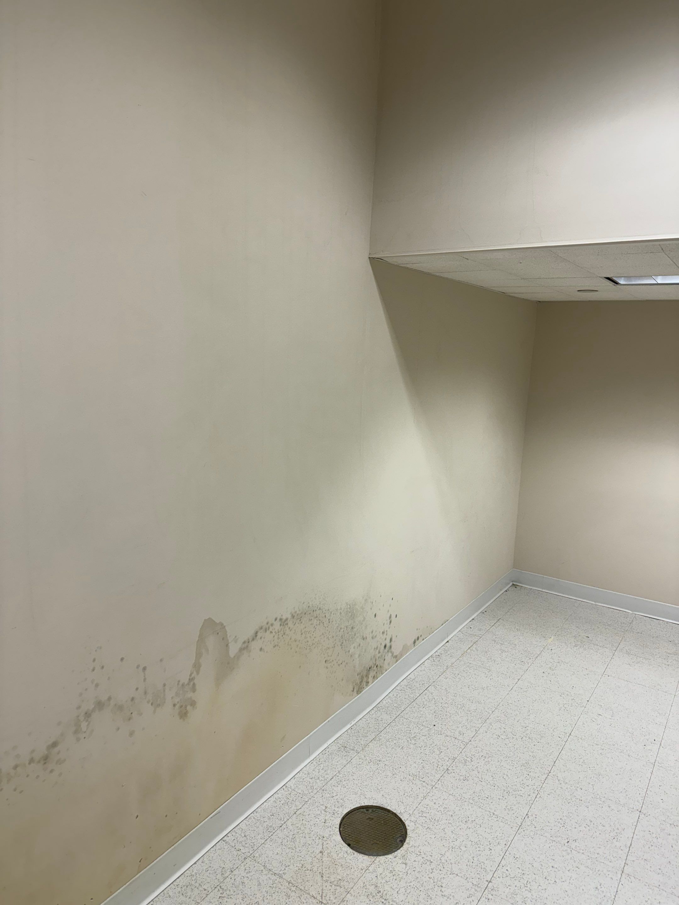 Mold Remediation Fairfield NJ by Pure Service Pro, LLC 