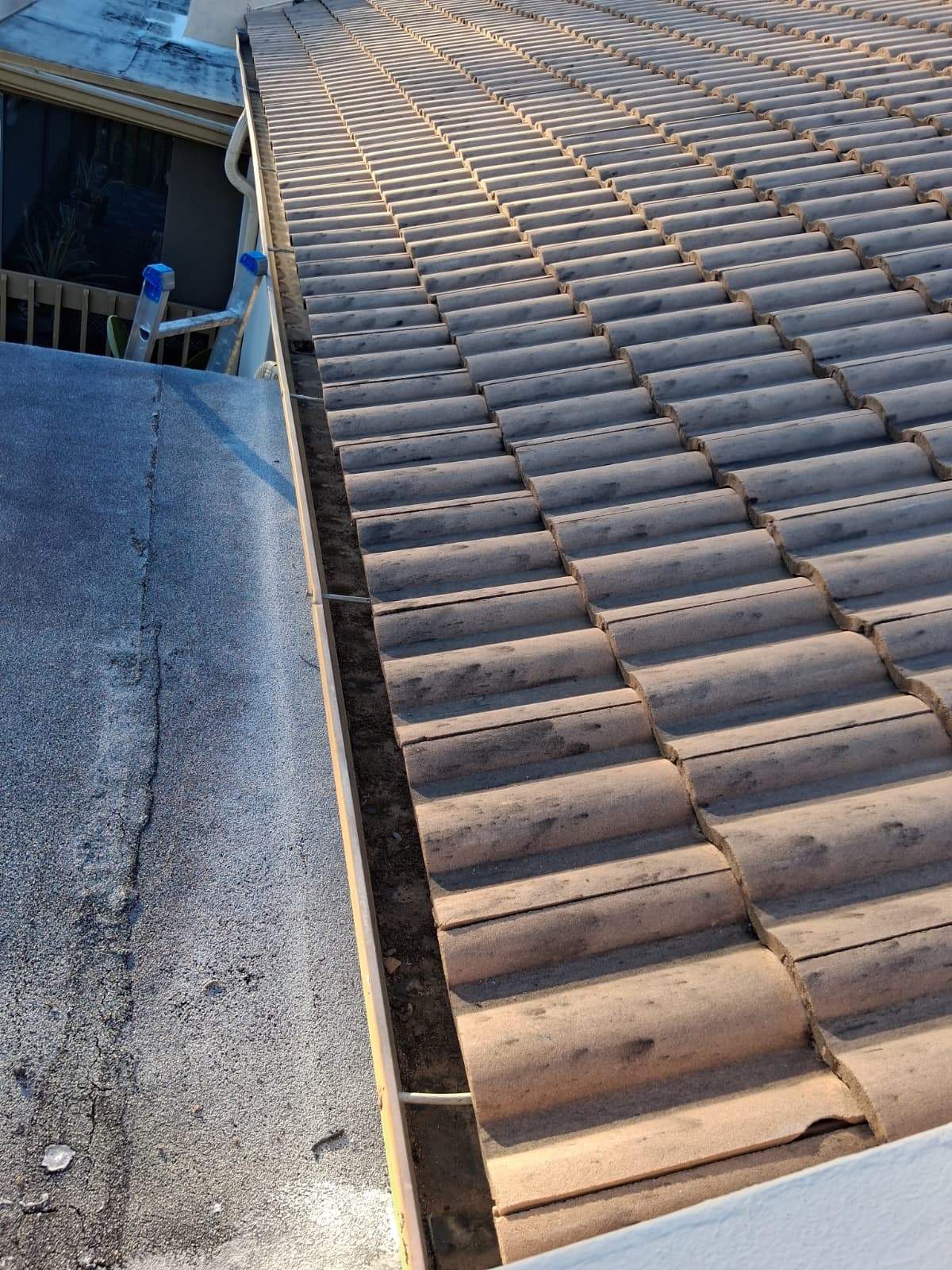 Gutter Cleaning Service in Sarasota FL by Gutter Professors