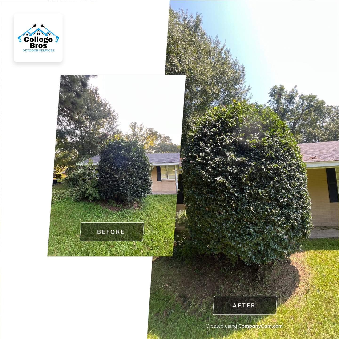 Yard Makeover by College Bros Outdoor services