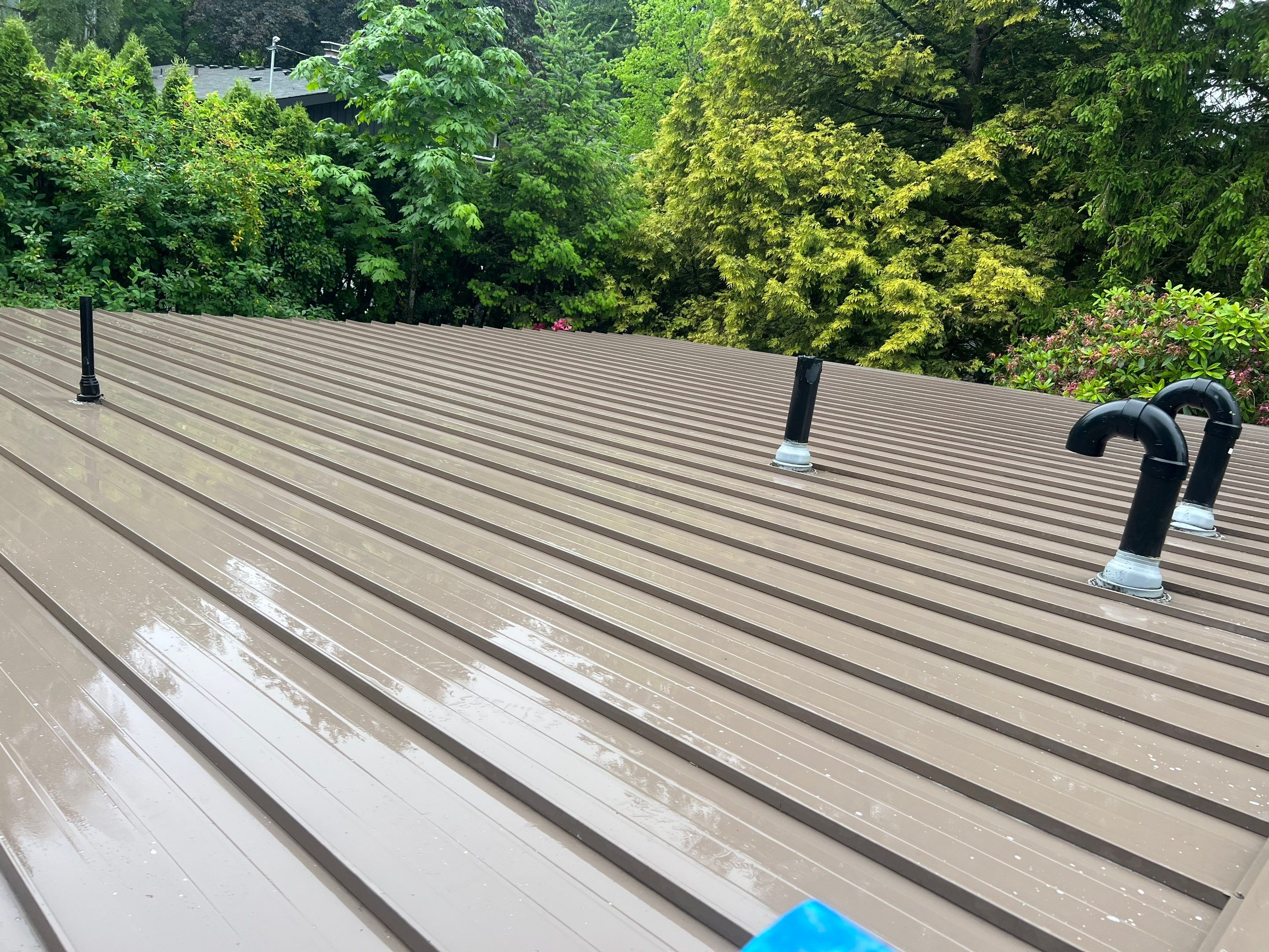 Roof Cleaning in Portland by Prodigy Roof Solutions