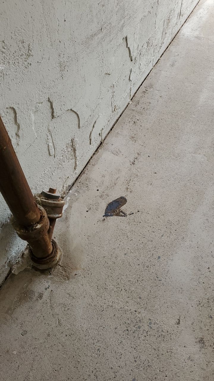 Slatestone Garage Floor by Spectrum Painting, LLC