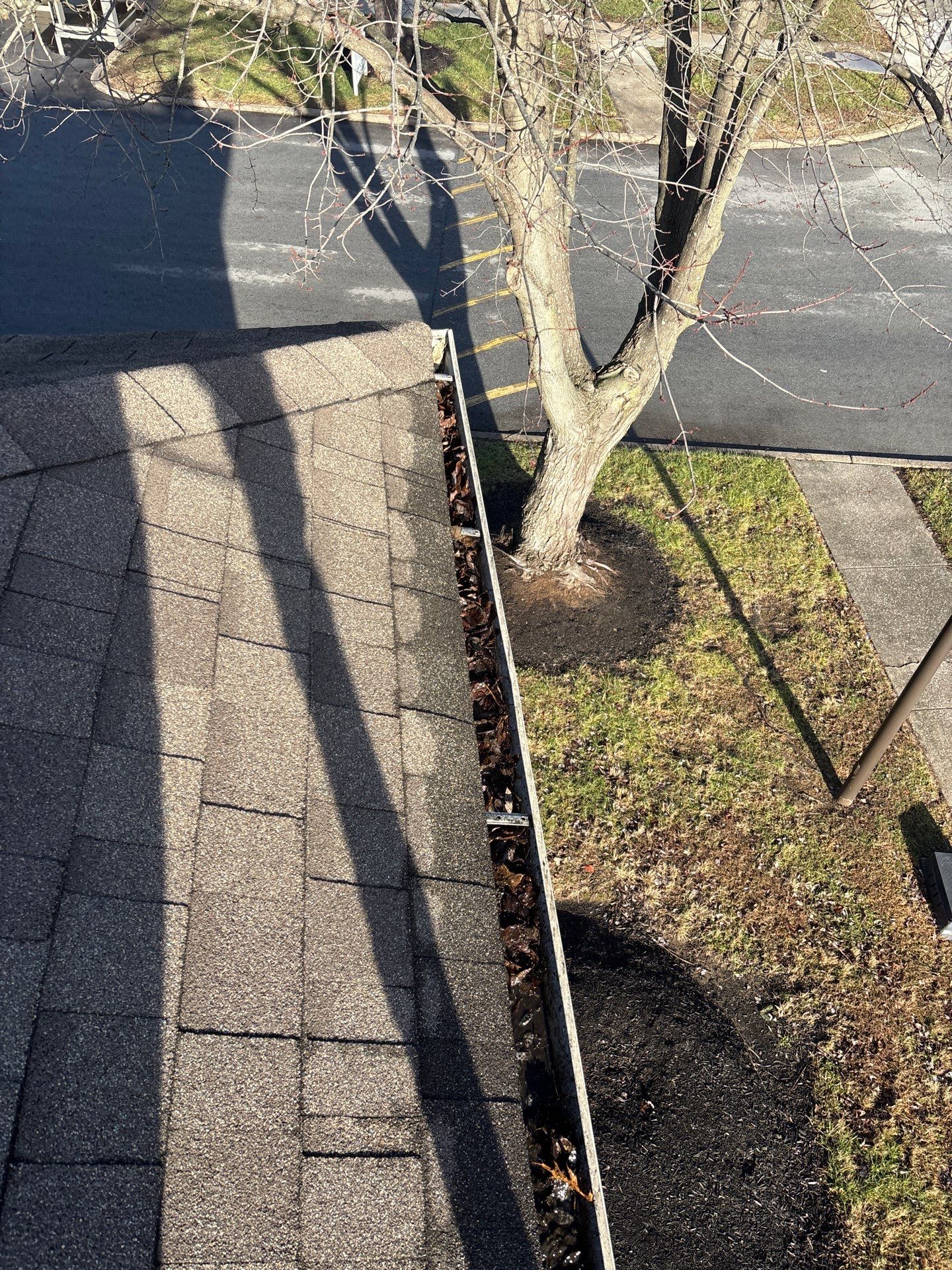 Commercial gutter cleaning Kentucky before photo with filled gutters