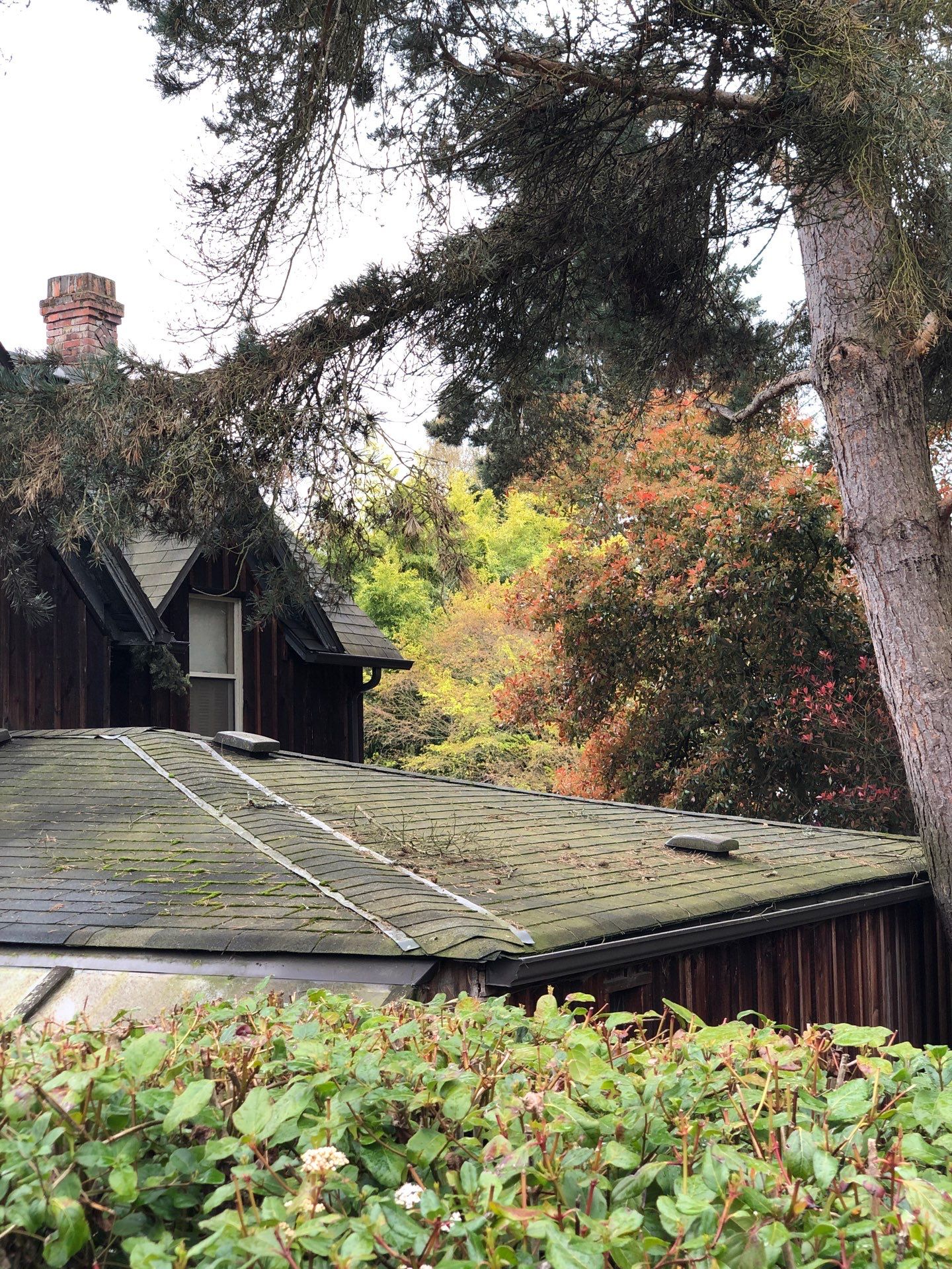 Project in Seattle by Peaks and Valleys Construction