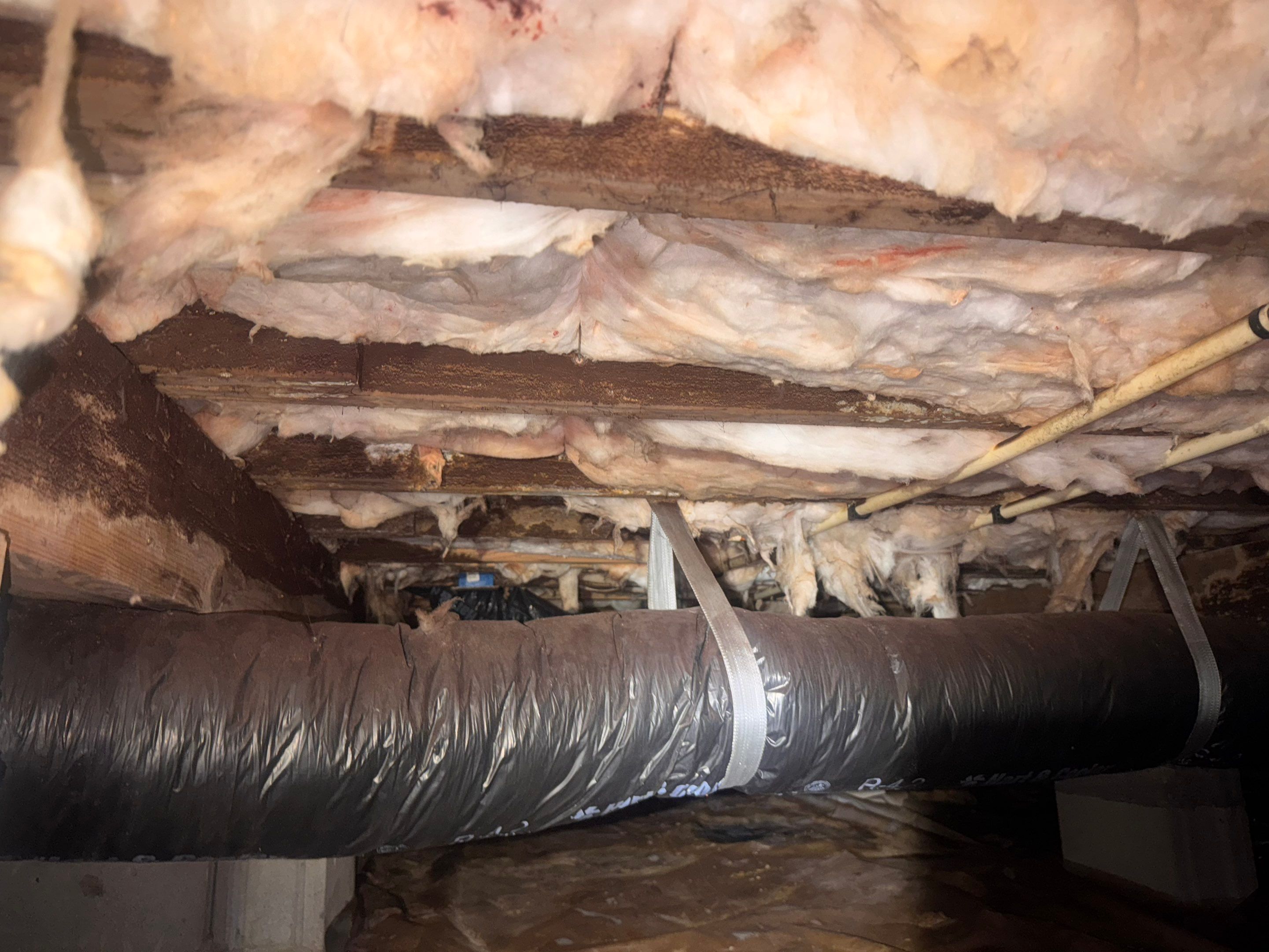 Moisture Barrier, Mold Clean, Structural Repair, Dehumidifier, R19 Insulation. by Impact Crawlspace