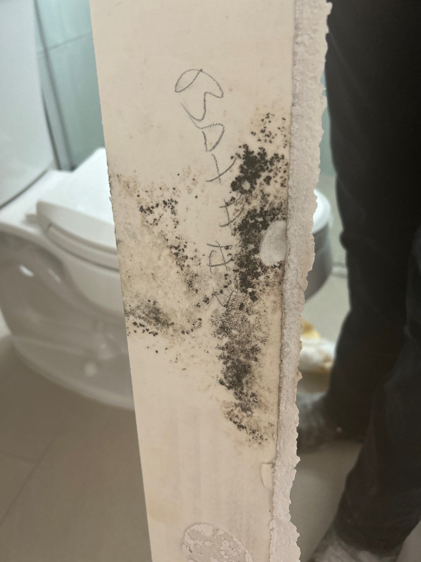 Water Damage Removal: Sarasota  by Ampm Restoration Services 