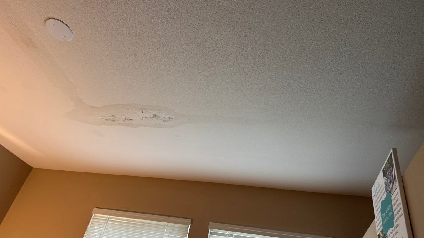 Project by NuLead Construction Inc by NuLead Construction Inc