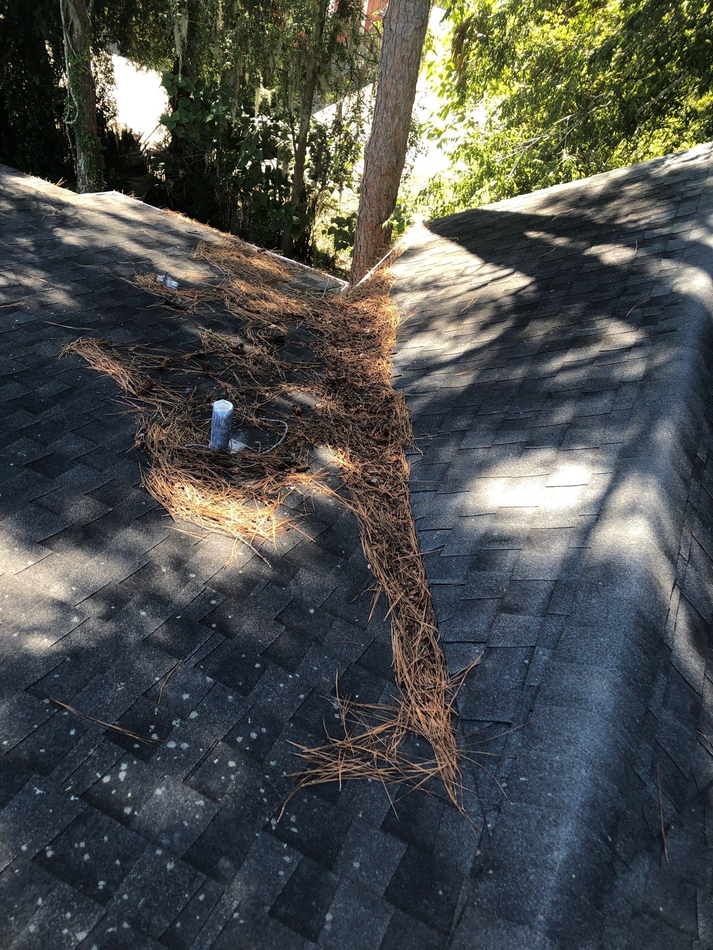 Commercial gutter cleaningOcala, FL before photo with filled gutters