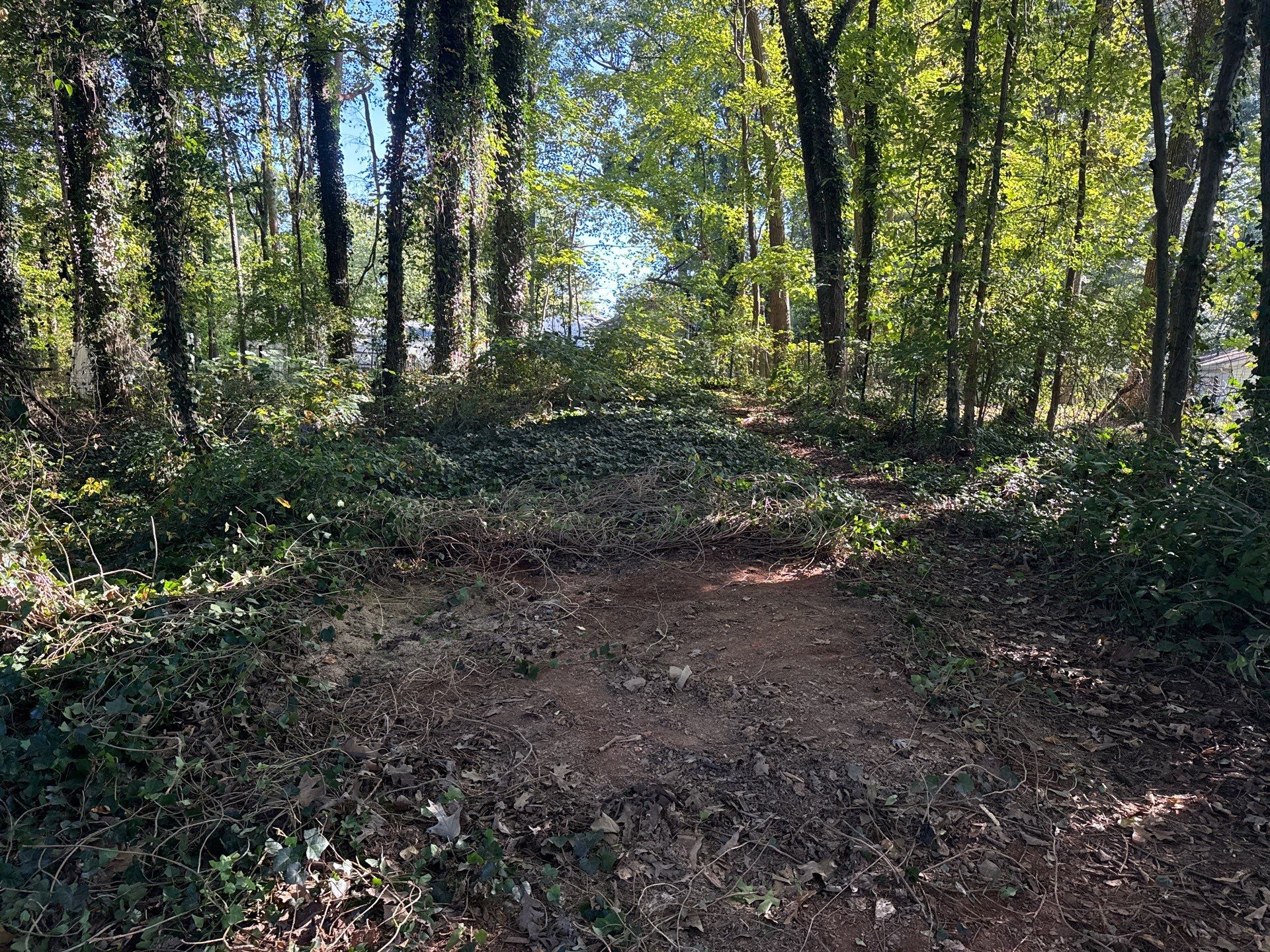 Project in Charlotte by Badger Hauling