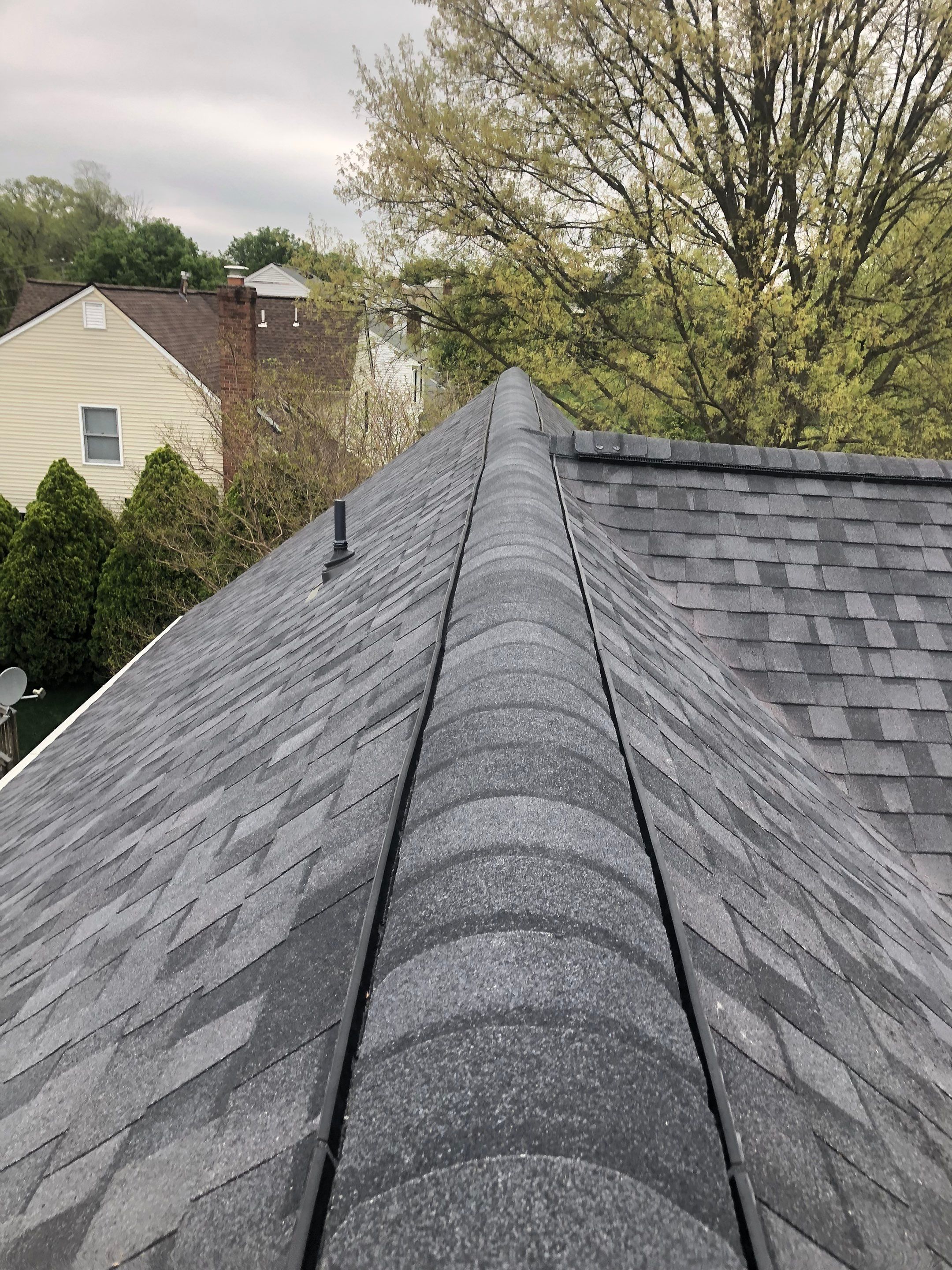 Vienna: CertainTeed Landmark Pro Designer Shingles in Max Def Moire Black by RM Banning, Inc.