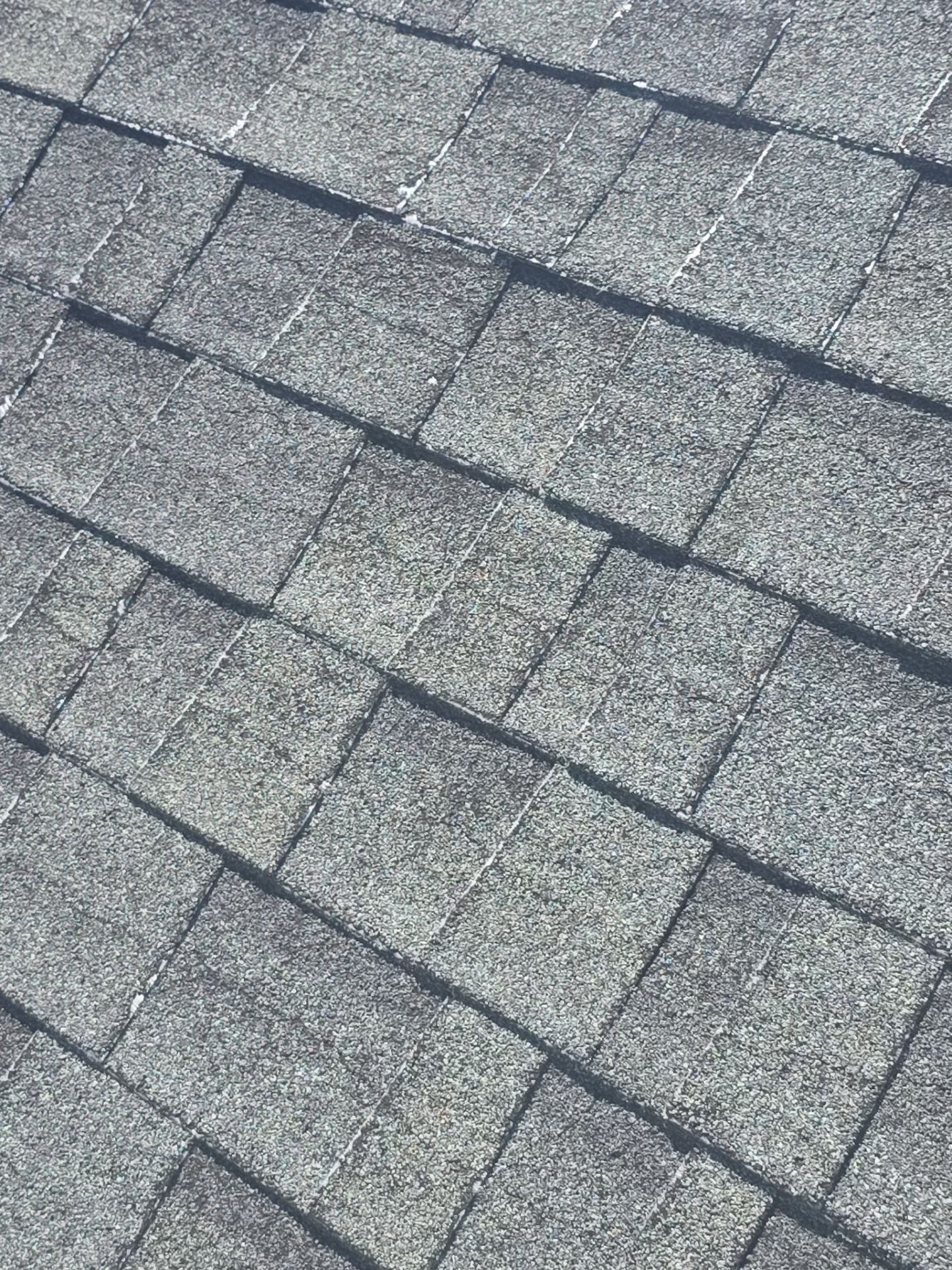 Roof Rejuvenation using Roof Maxx Treatment by Roof Maxx of Folsom