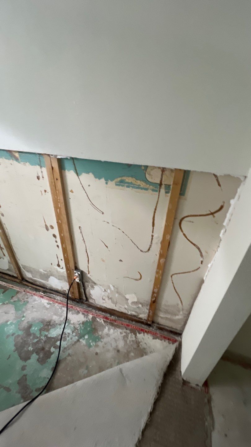 Mold Remediation by Accountable Home Services