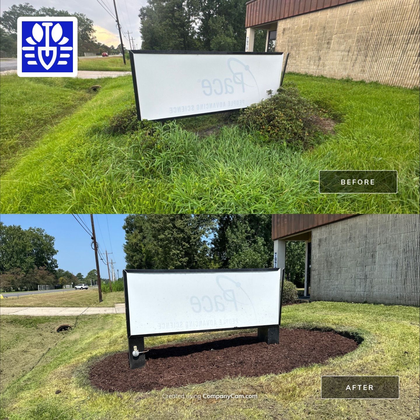 ONE TIME CUT & LANDSCAPE CLEAN UP by CutScape, LLC.