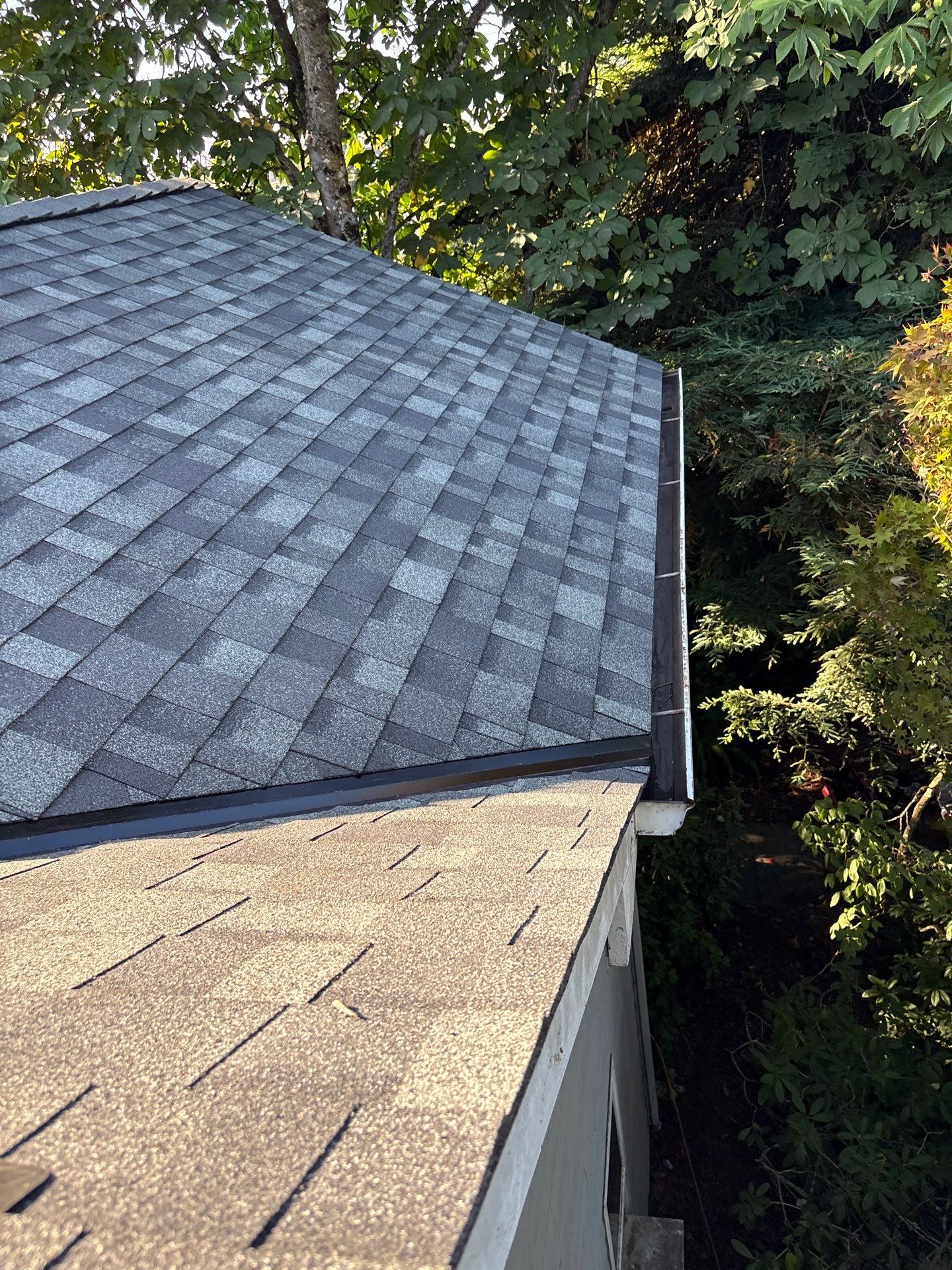 Springfield Residential Reroof Featuring New Sheathing and Synthetic Underlayment by BEST Roofing & Waterproofing