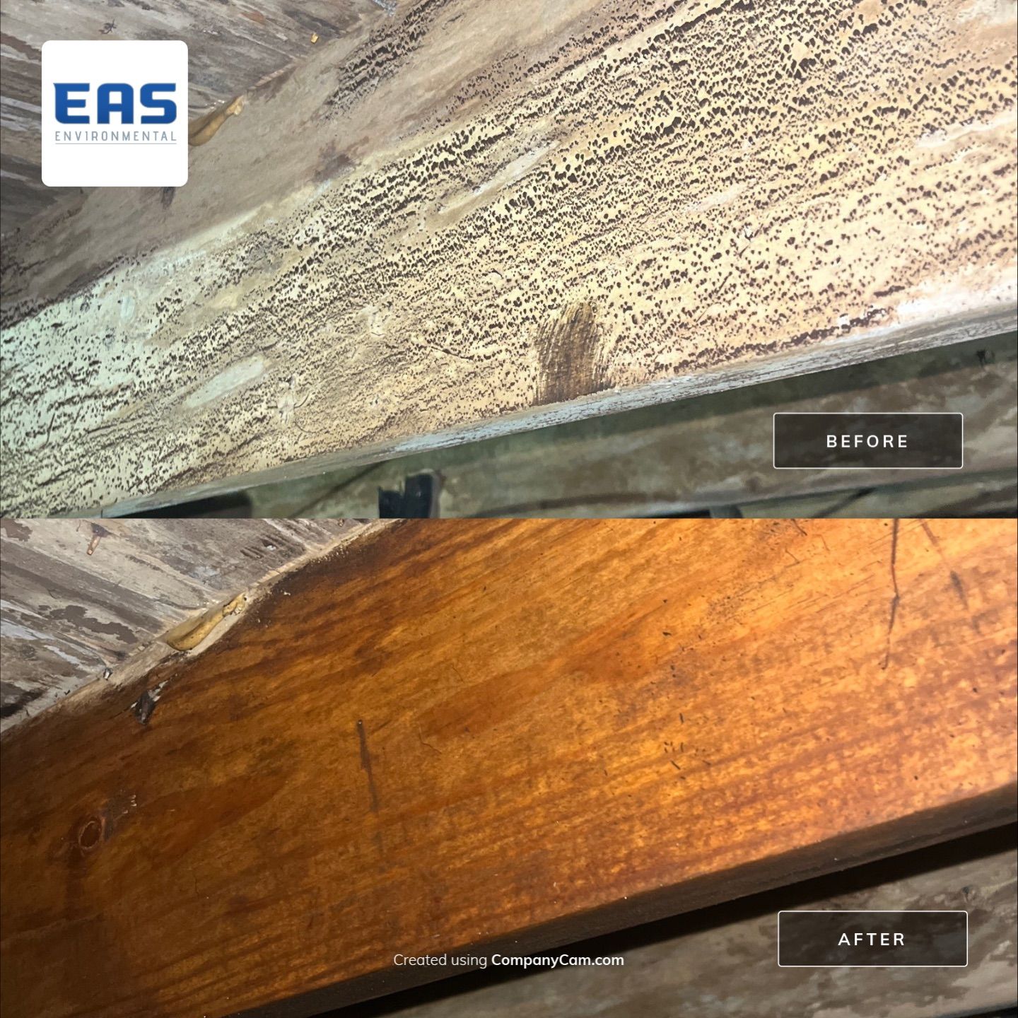 Crawlspace remediation & encapsulation with ductwork replacement by EAS Environmental, LLC.