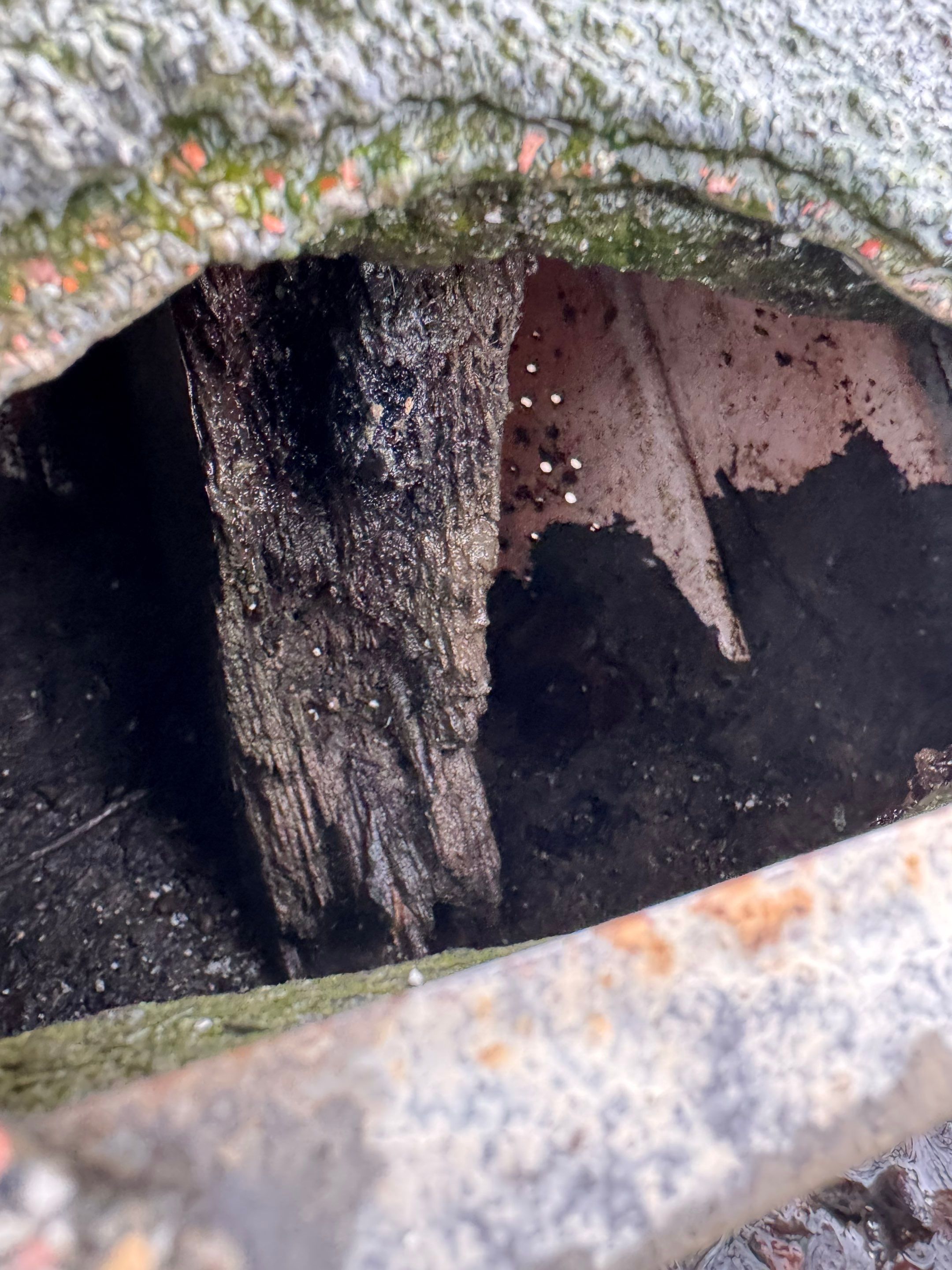 Project in West Sacramento by NuLead Construction Inc