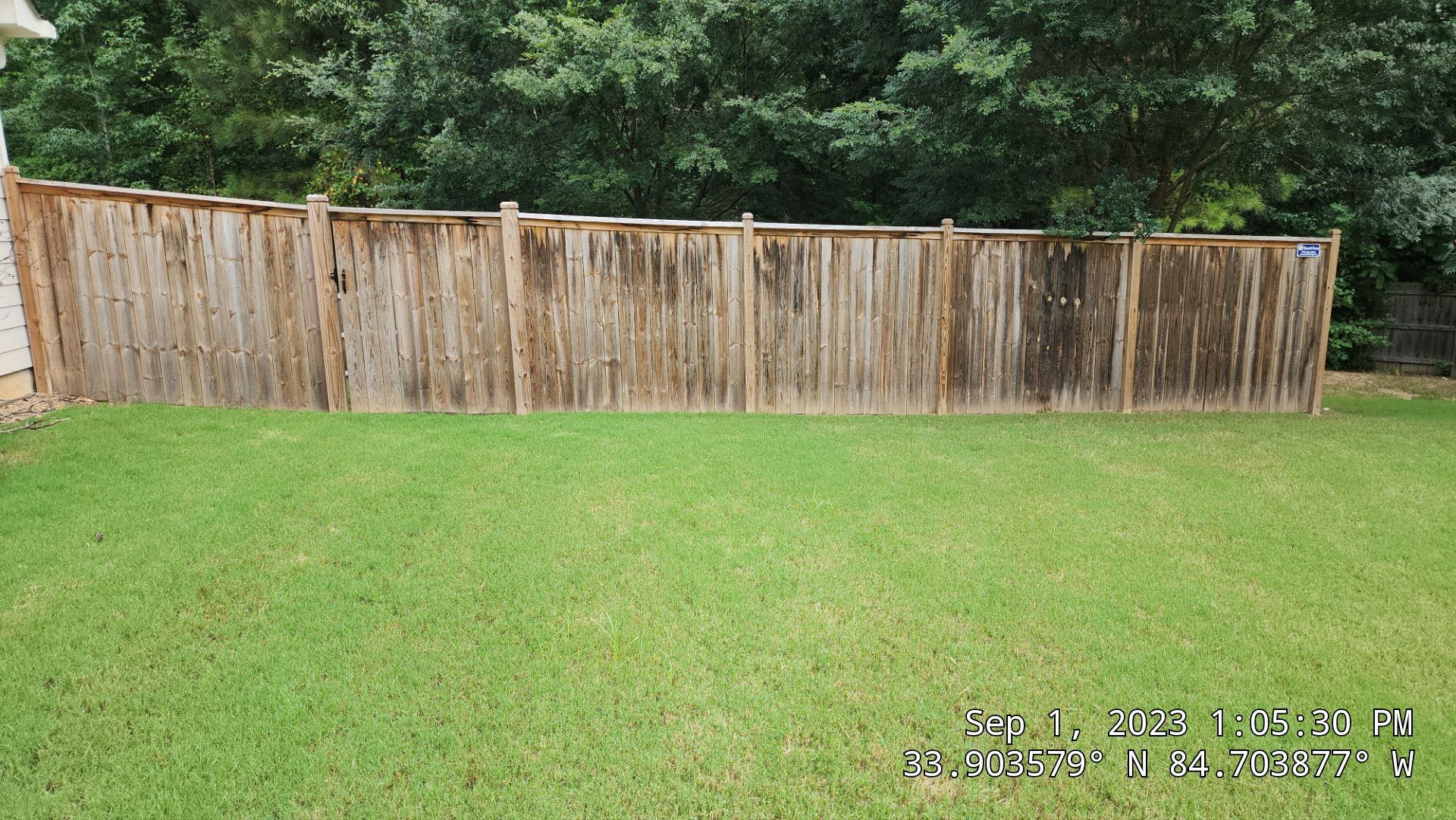 Fence Staining using Pecan by SSE by Titans of Timber Fence & Stain