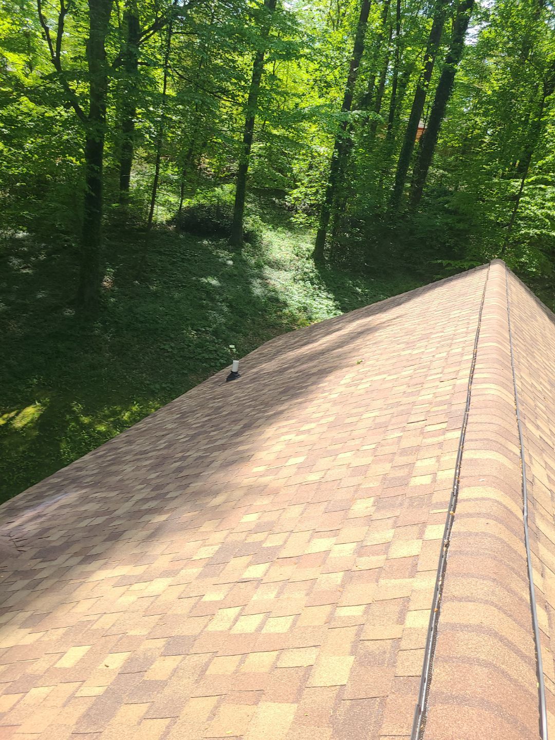 Annandale: Multi-Trade Tree Damage Restoration by RM Banning, Inc.