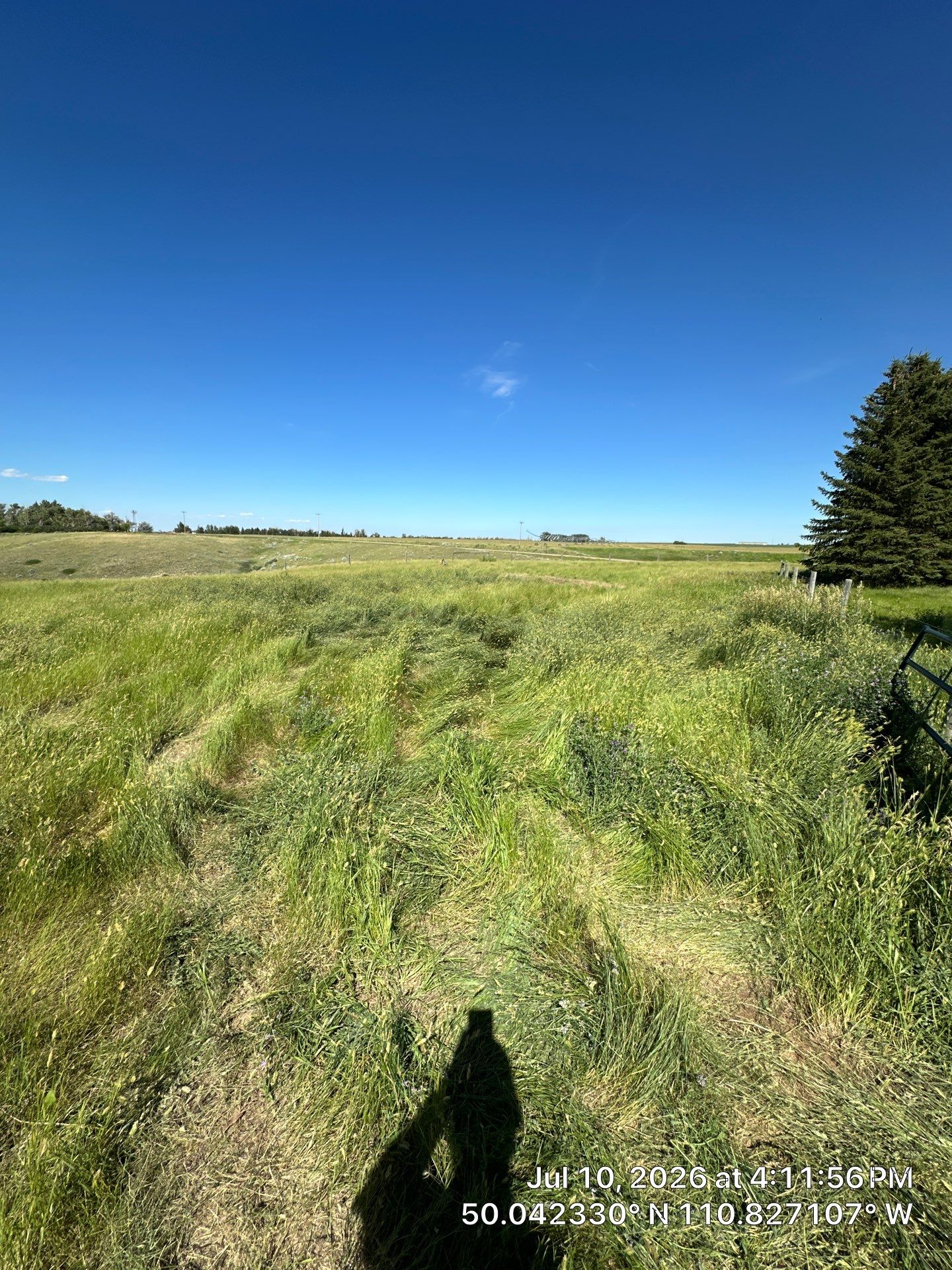 Septic System Upgrade, Repair and Drain Field Cleaning in Cypress County by Septic Medic Inc.