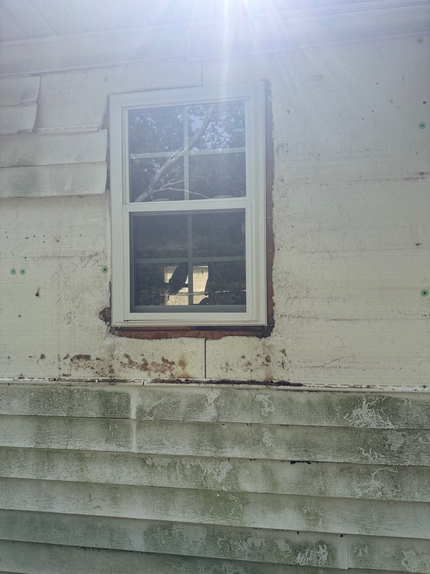Window Replacements by In & Out Construction & Remodeling, LLC