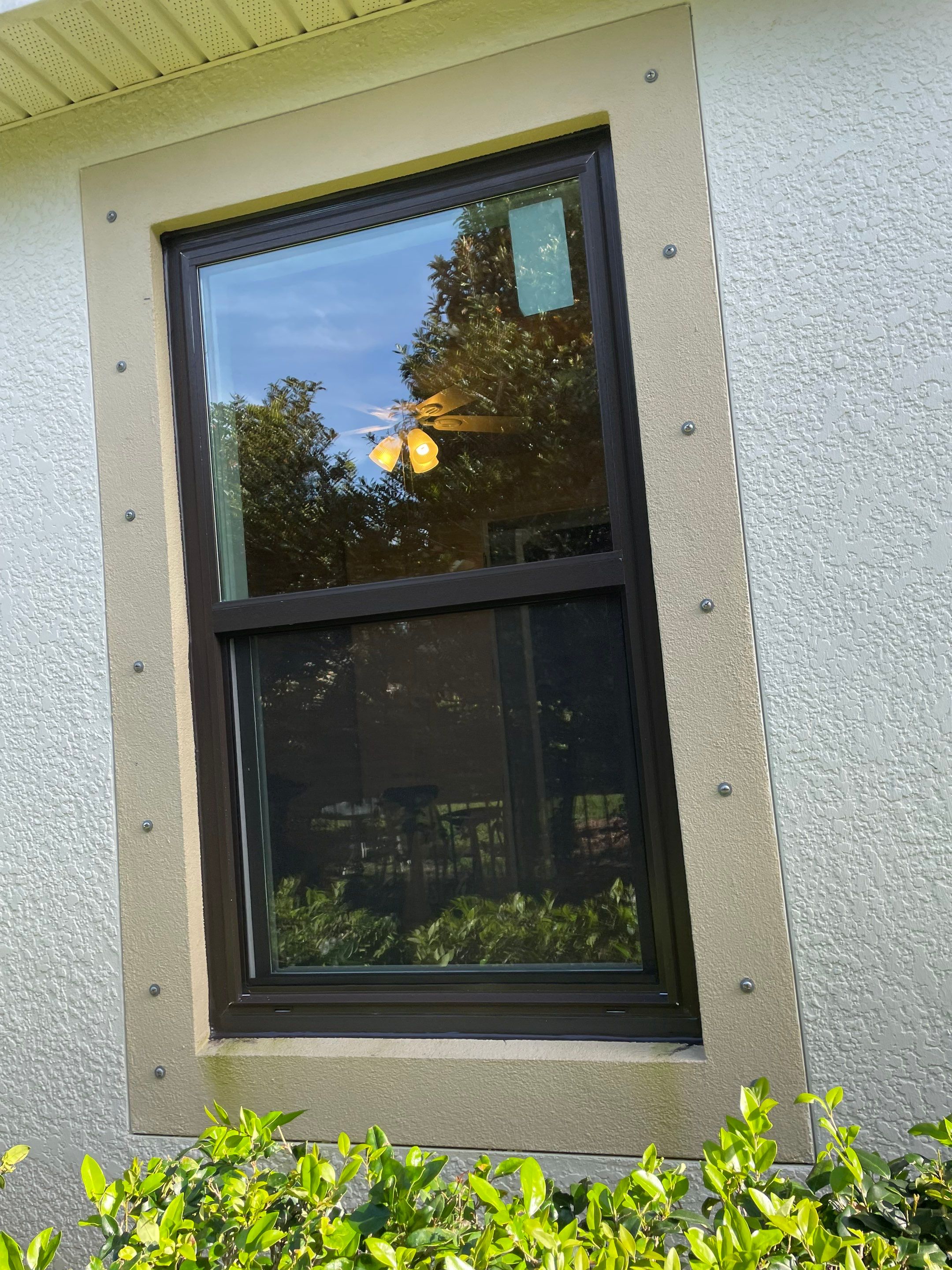 Bronze Single Hungs & PW's by NewSouth Window Jacksonville