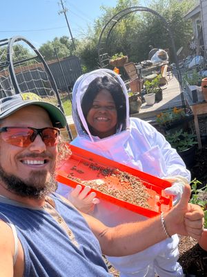 New beekeeper in Rowlett