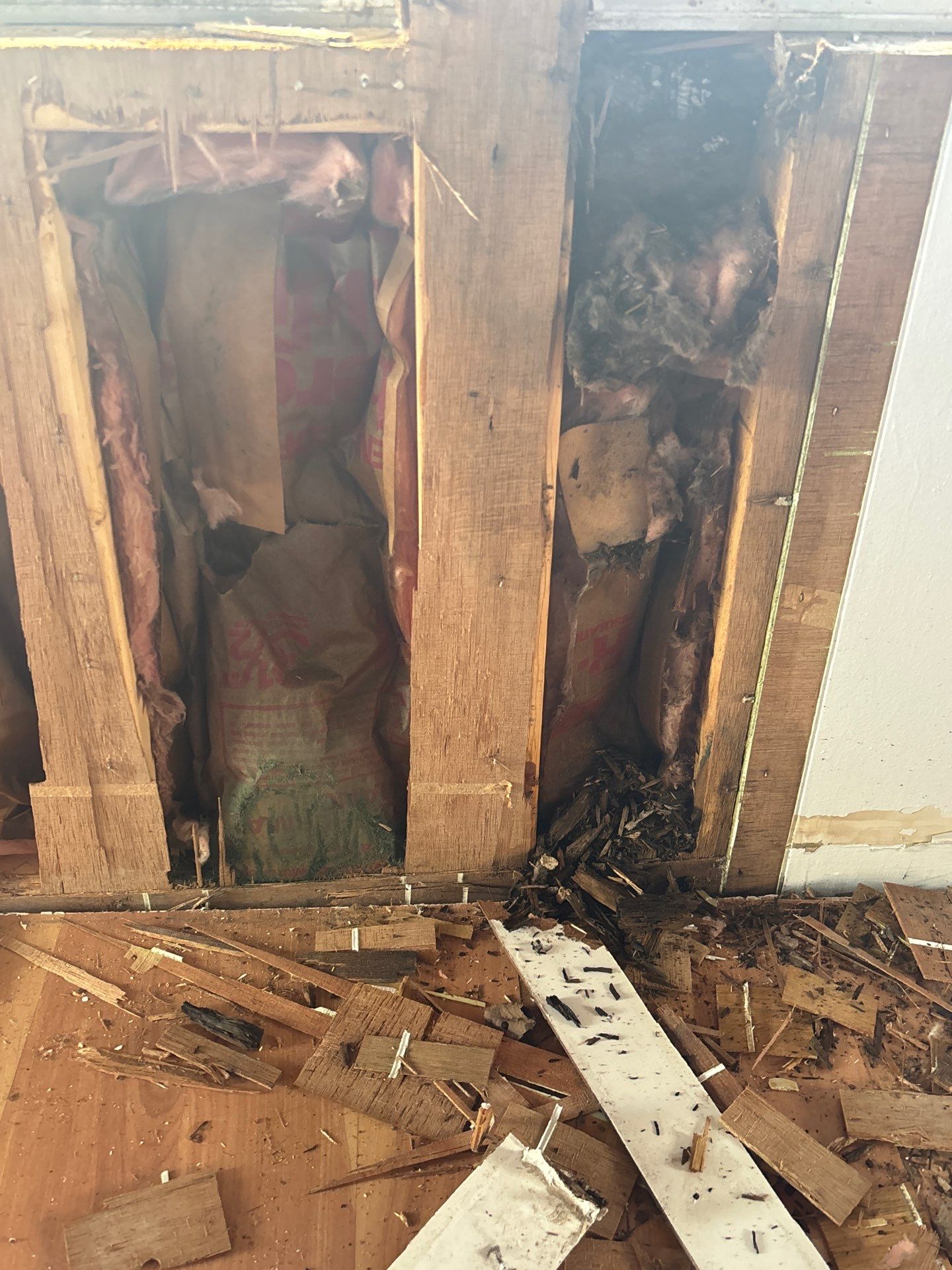 Mold Damage Removal In Ellenton, FL by Ampm Restoration Services