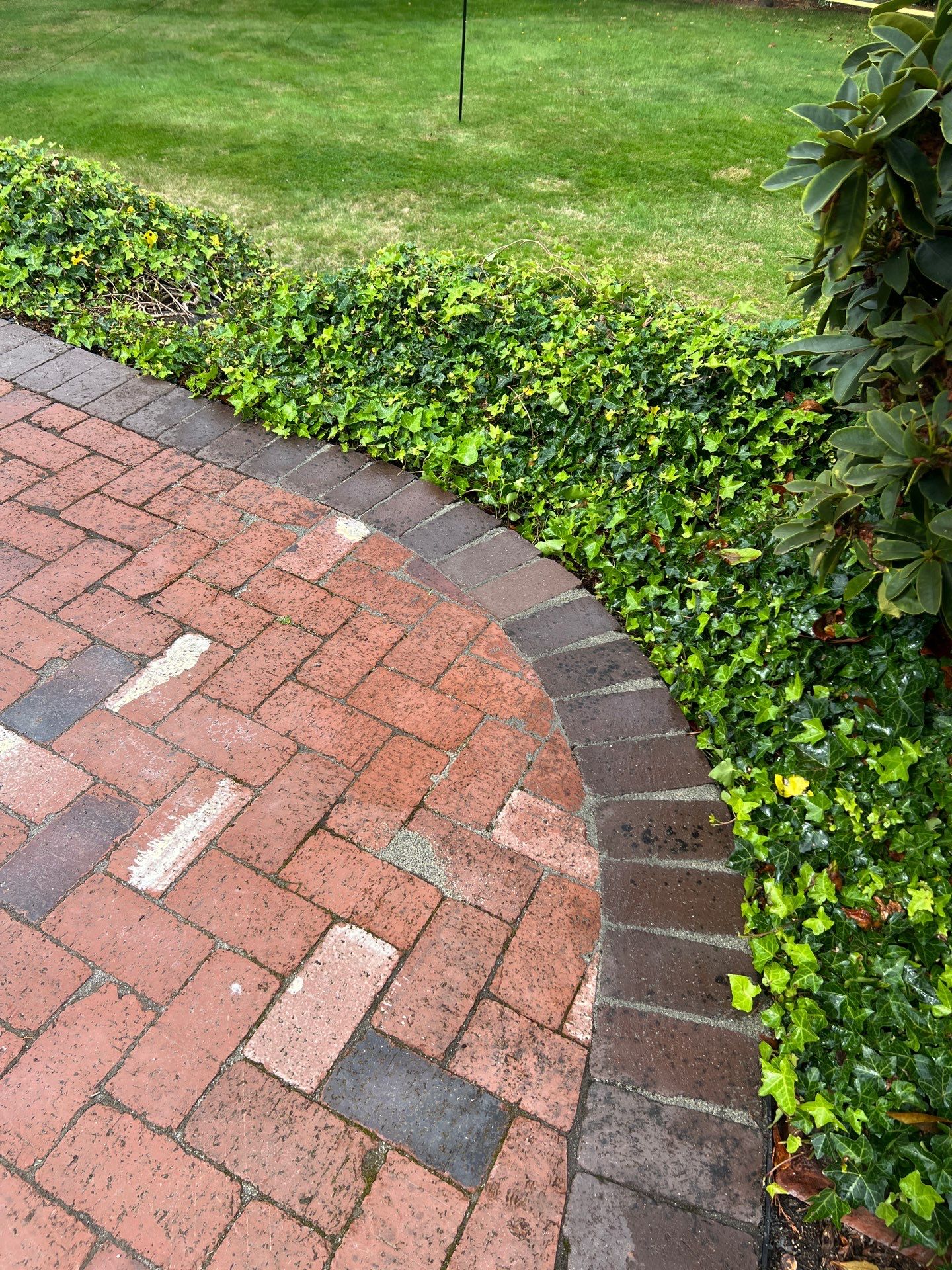 Edmonds Brick Patio Renovation by Jireh Asphalt & Concrete Inc 