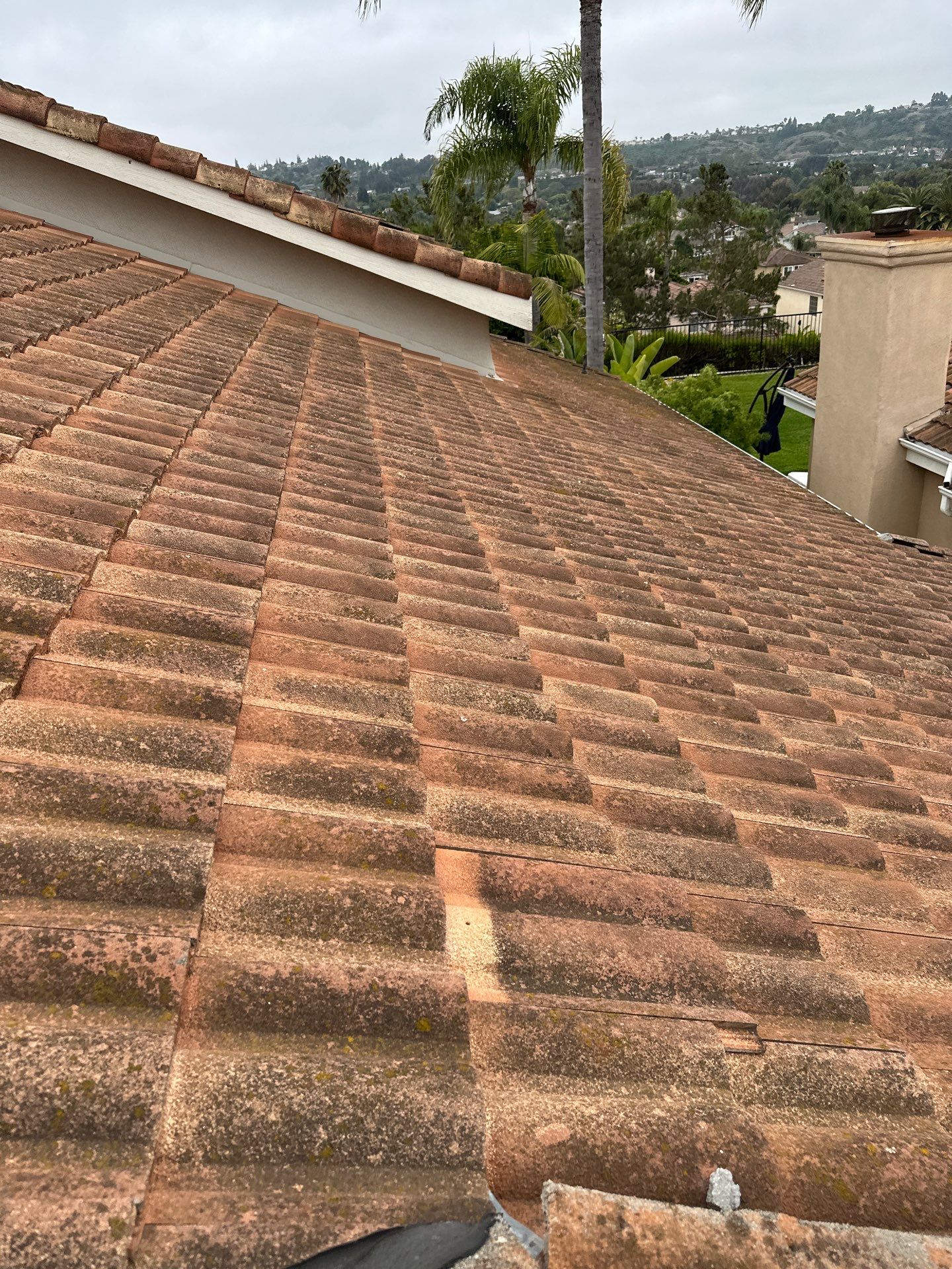 Orange County gutter cleaning using a vacuum by Property Cleaning Experts, LLC