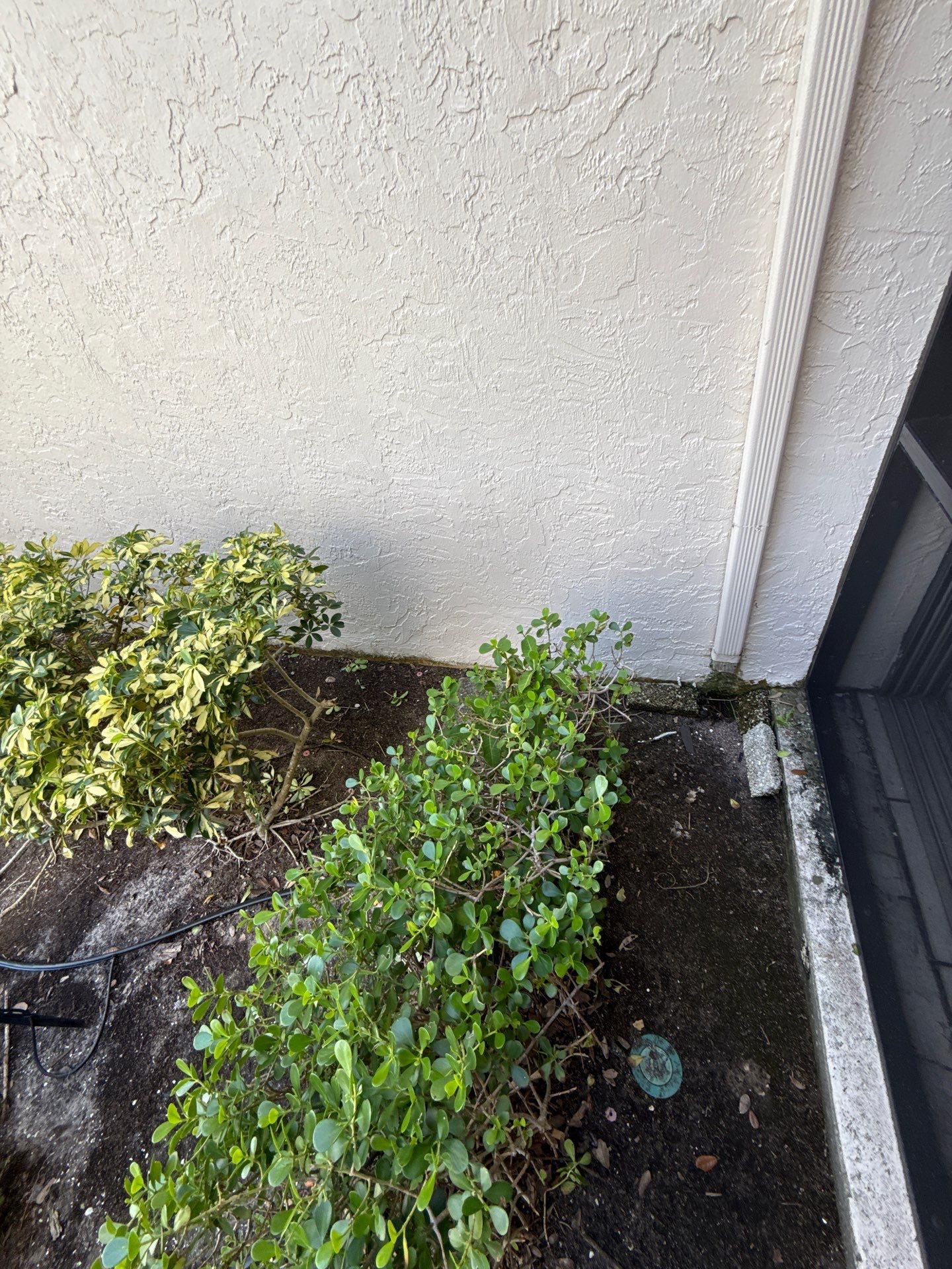 Downspout Installation Project in Sarasota FL by Gutter Professors