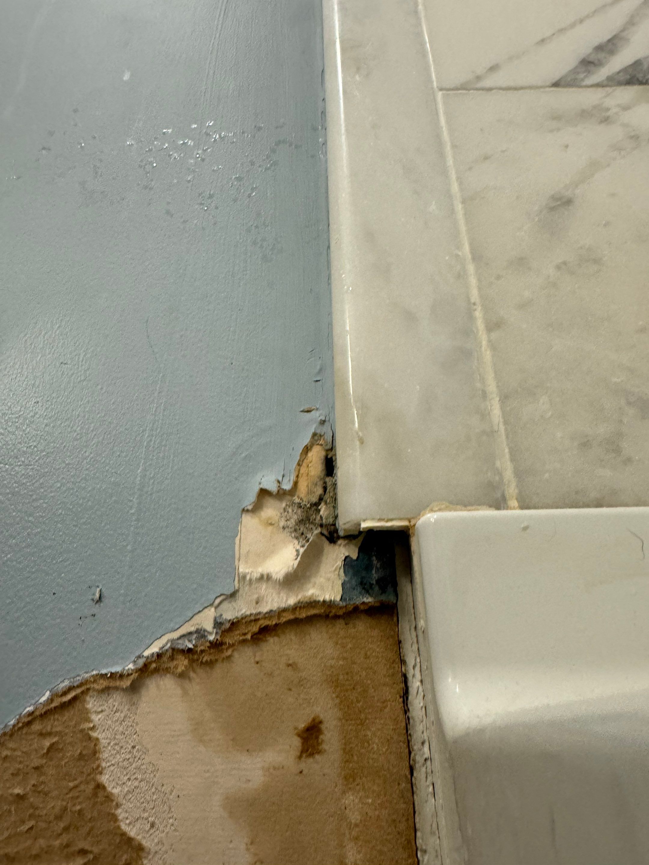 Bathroom Mold Remediation by Home Guarantee, LLC