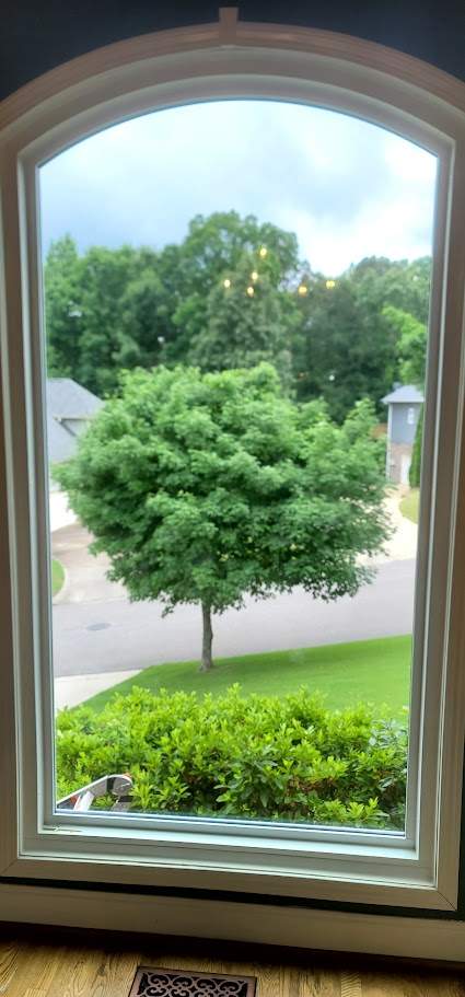 Robinson Project in Helena by The Window Source